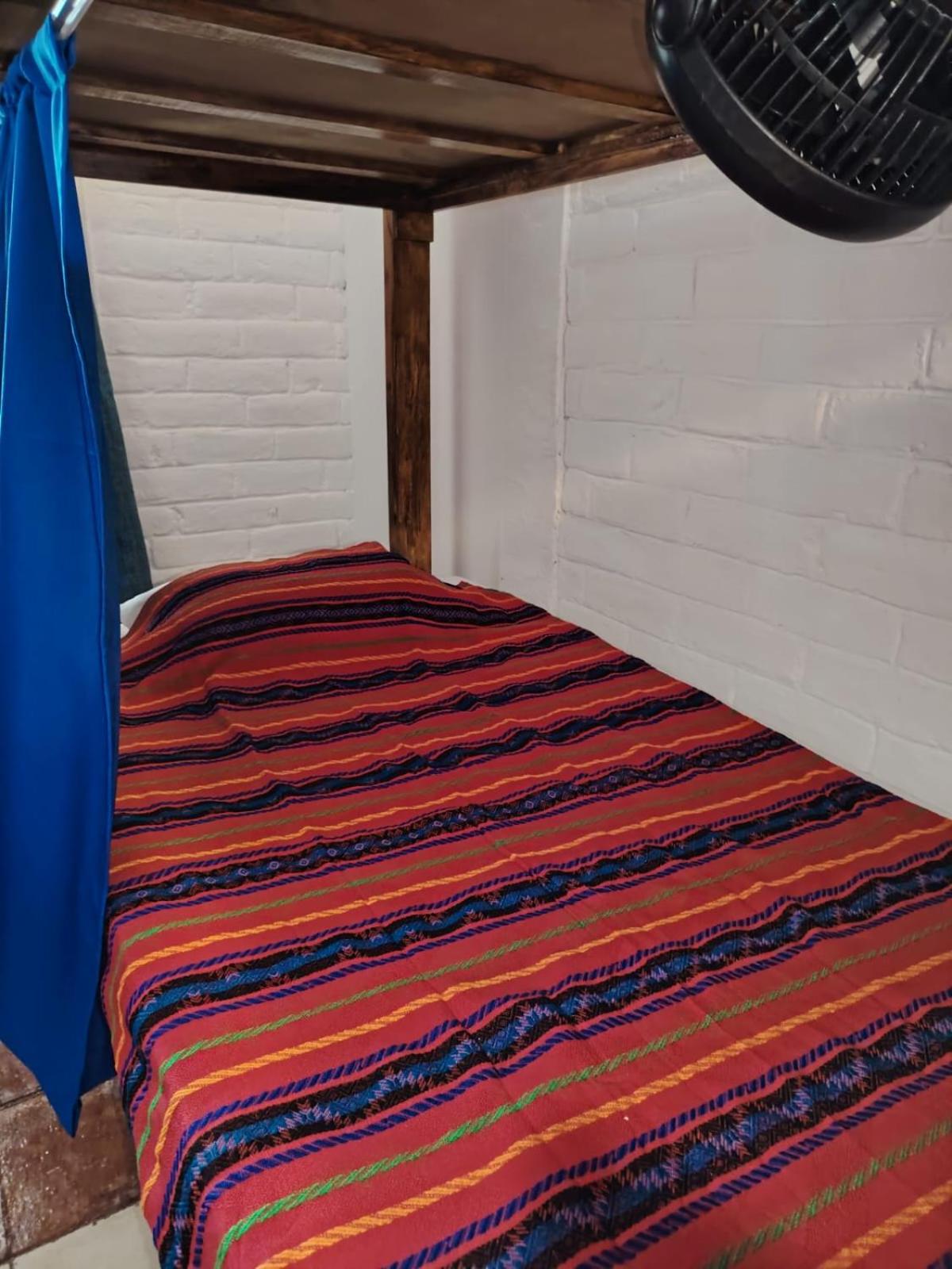 Bunk Bed in Mixed Dormitory Room