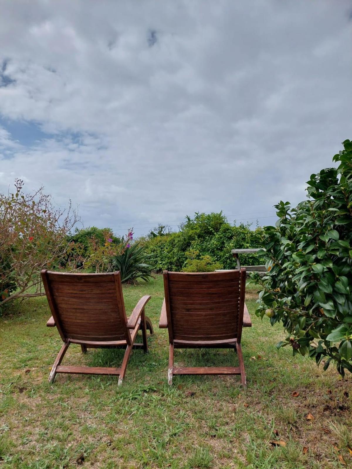 Superior Villa photo 3