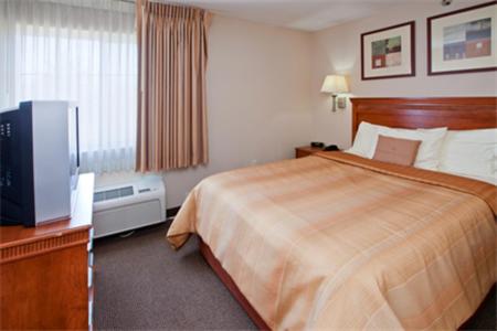 Studio Suite - Photo 10