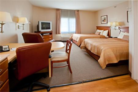 Studio Suite - Photo 9