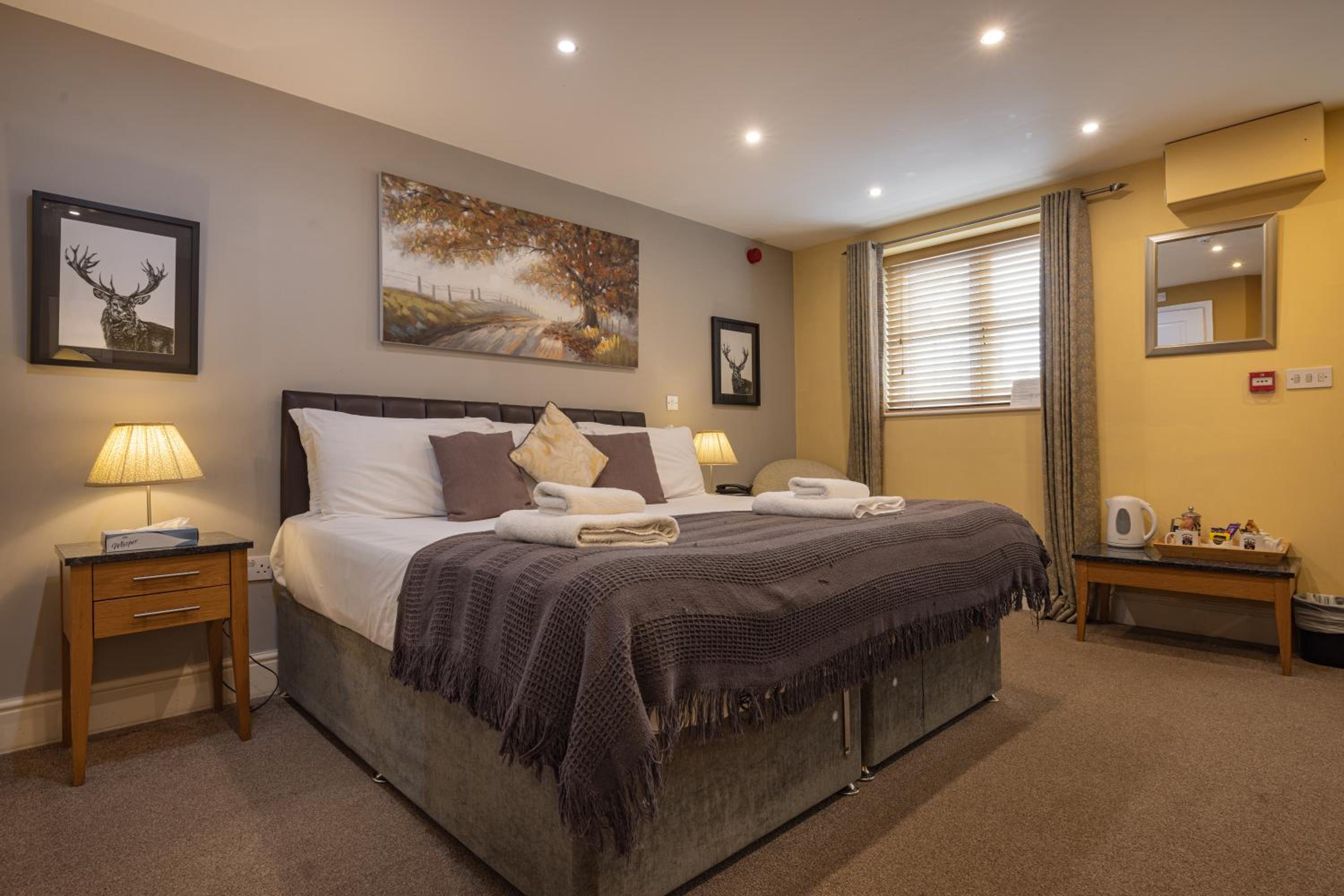 Superior Double or Twin Room photo 2