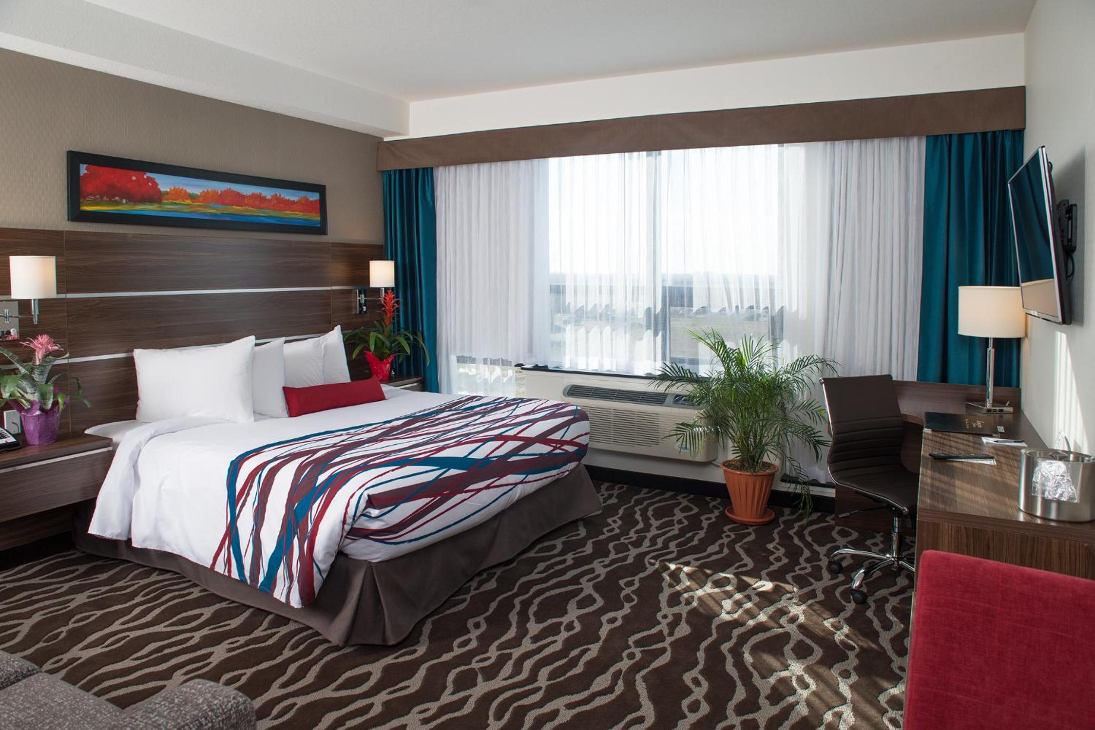 King Suite photo 1