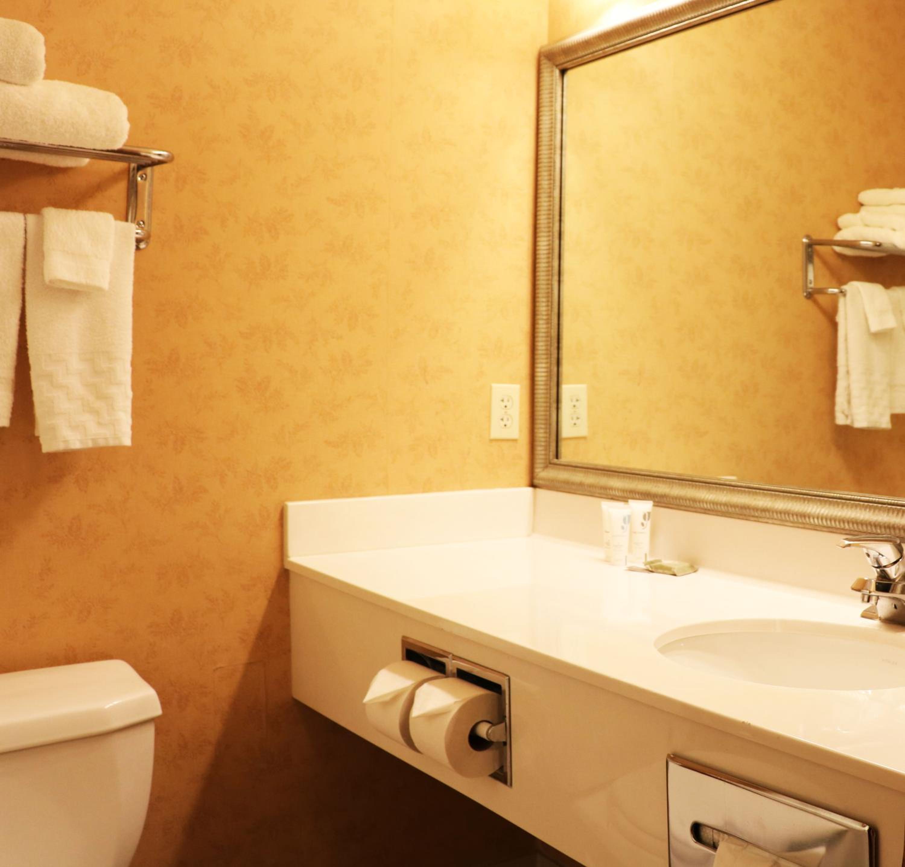 Queen Room with Two Queen Beds - Pet Friendly/Disability Access/Non-Smoking - Photo 4