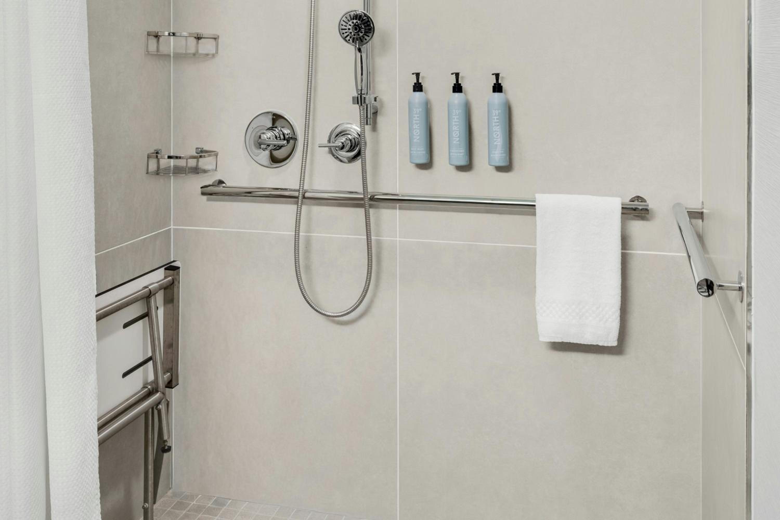 King Room with Roll-In Shower - Mobility Access/Hearing Accessible - Photo 4