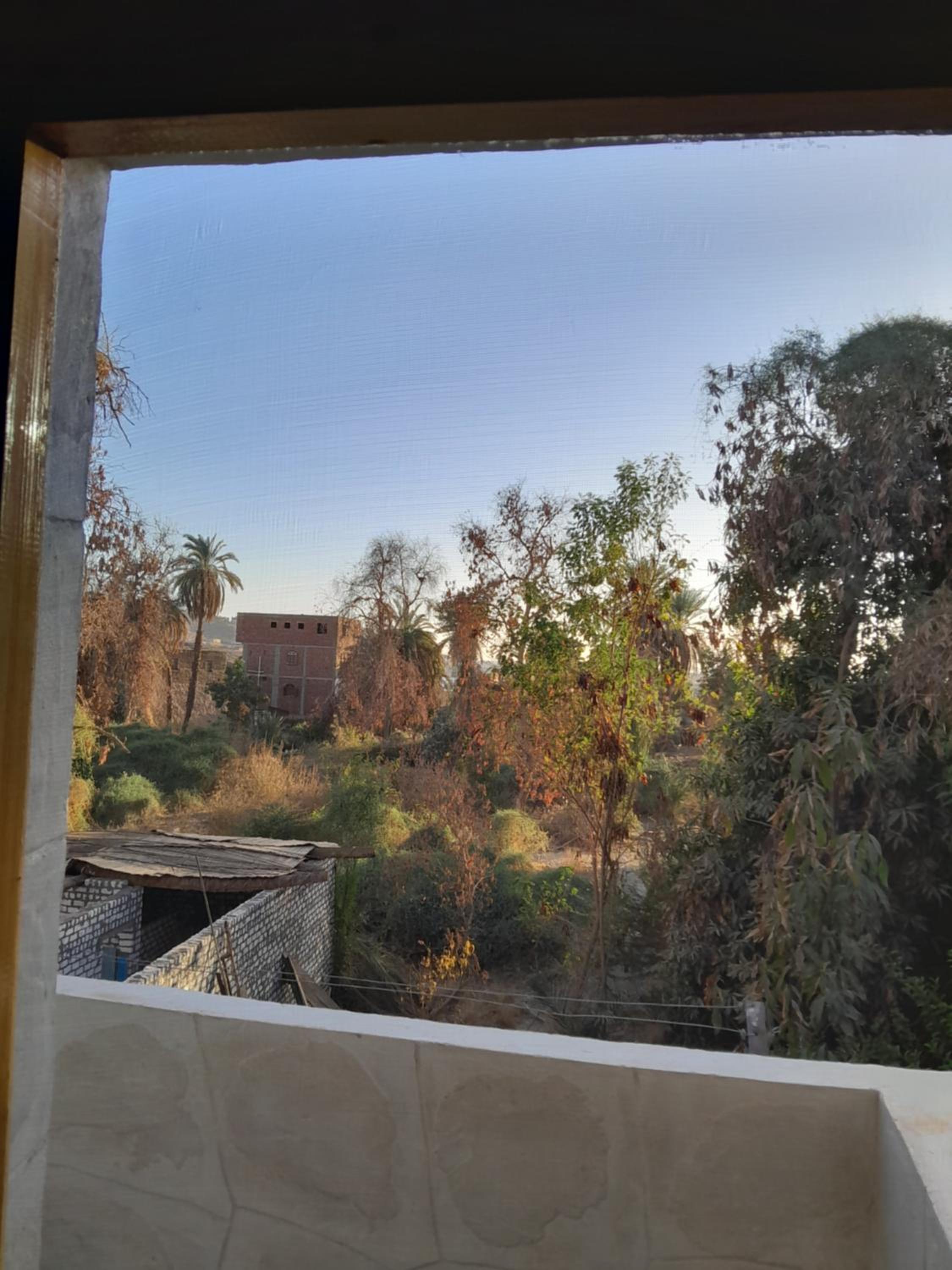 Deluxe Double or Twin Room with Balcony photo 2