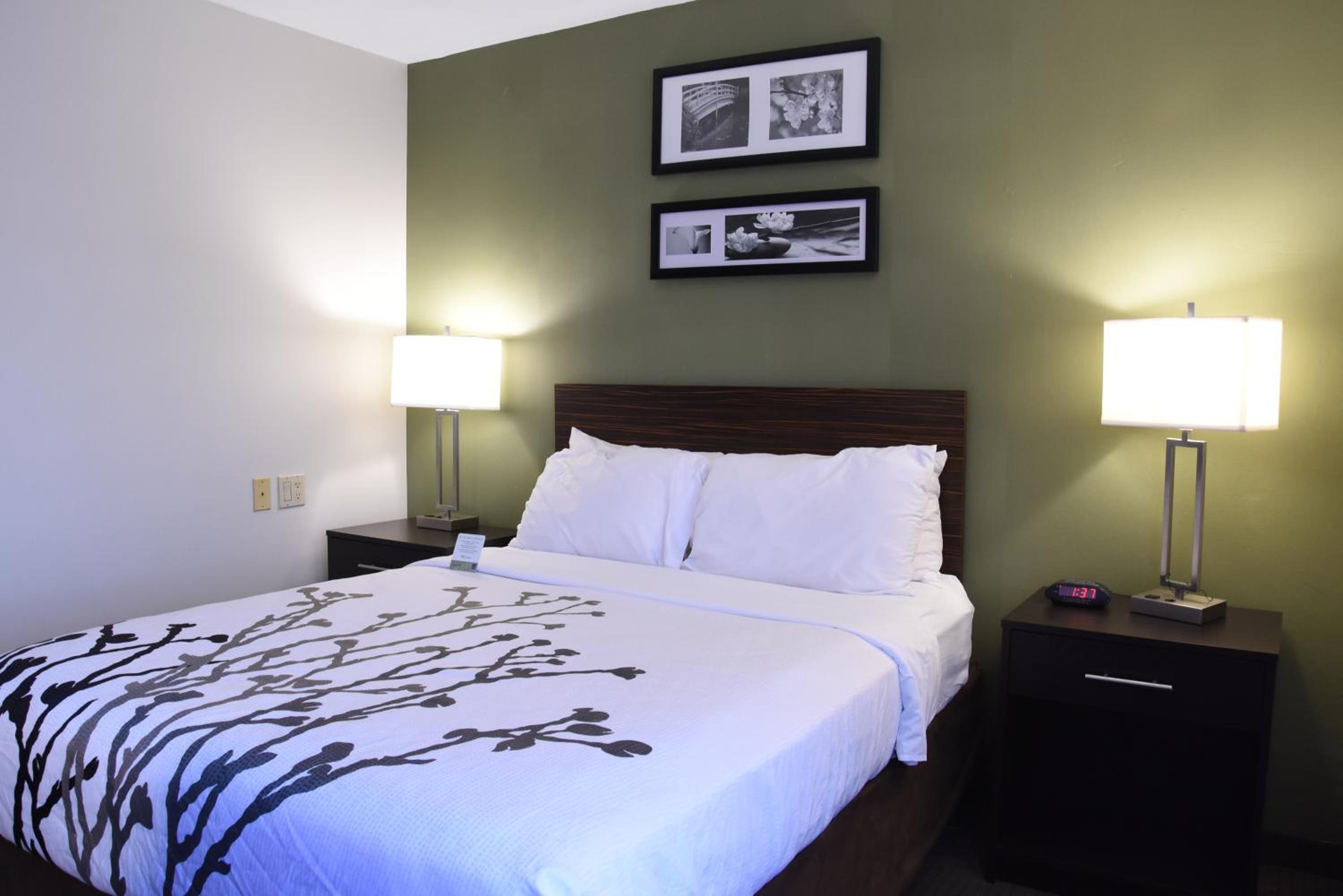 King Room photo 1