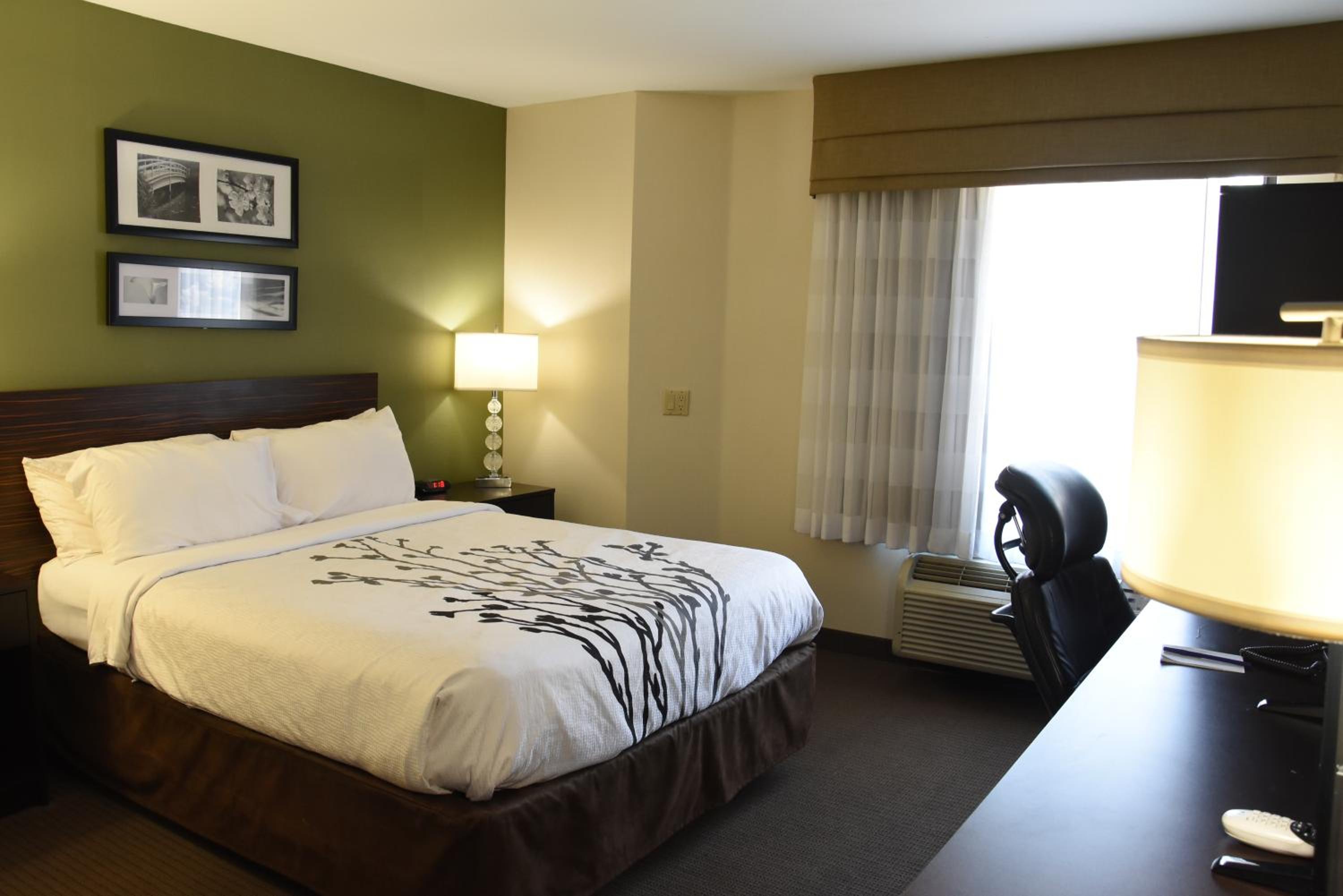 Queen Room with Tub photo 3