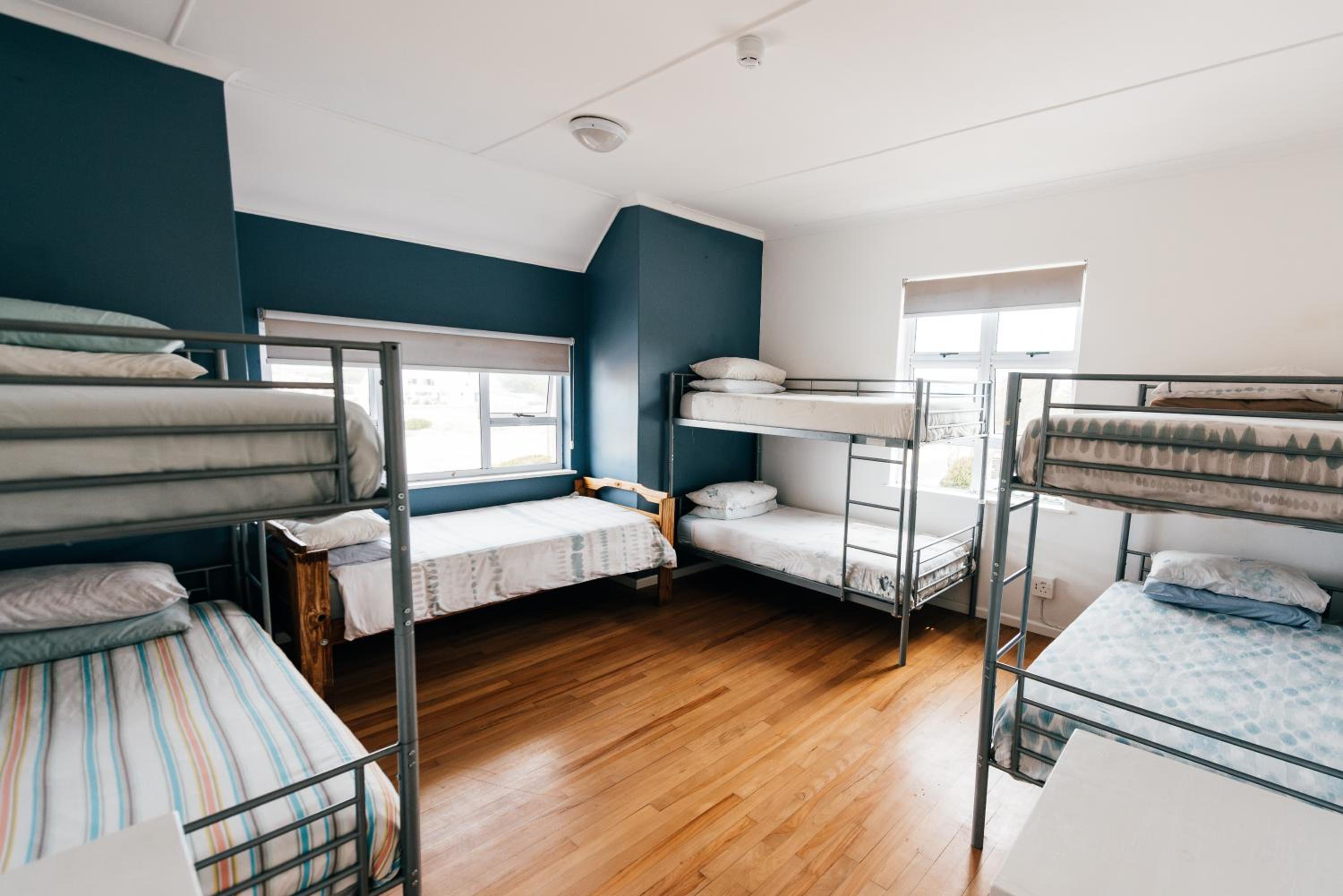Bunk Bed in Mixed Dormitory Room photo 2