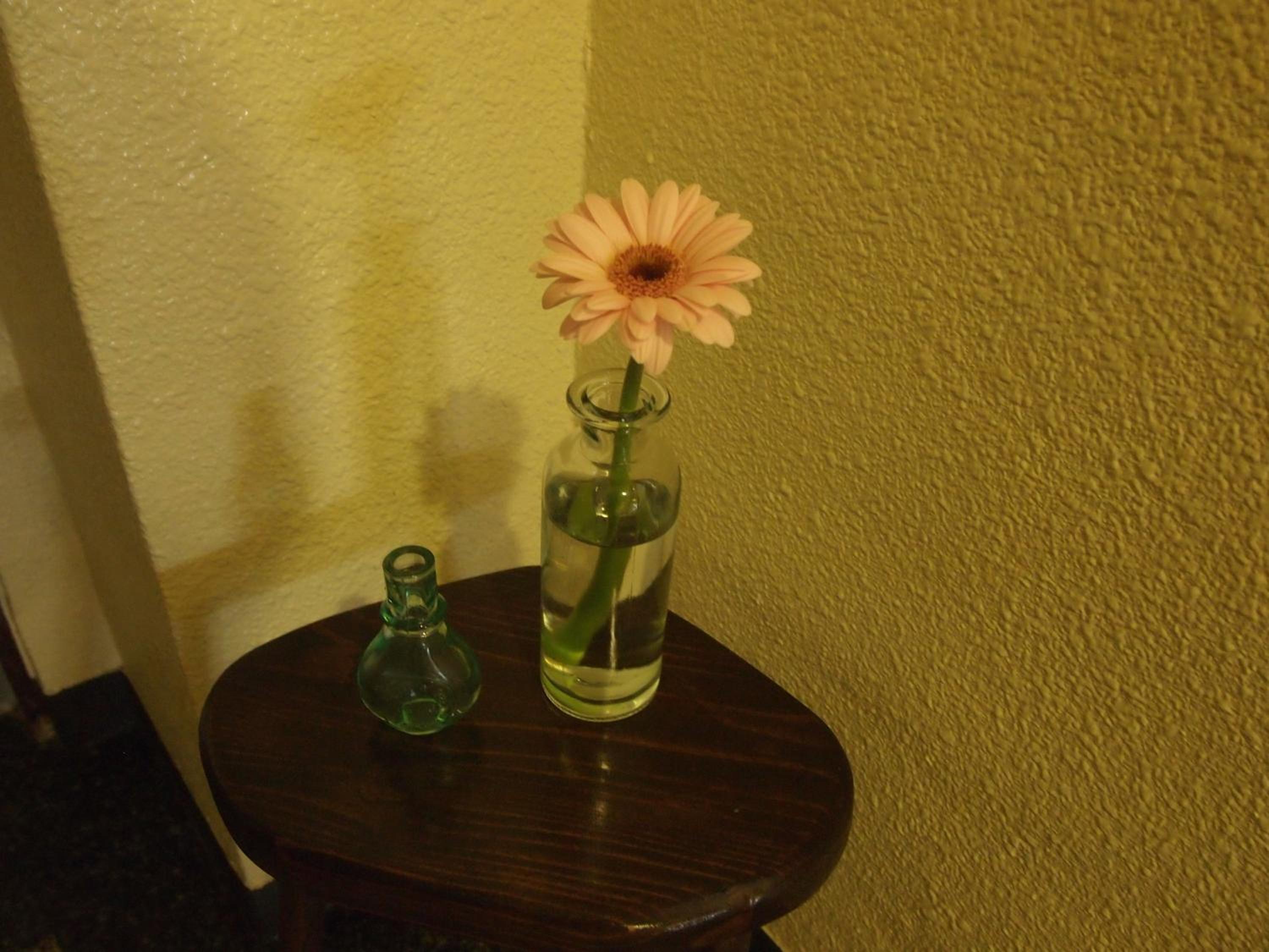 Single Room with Bath photo 3