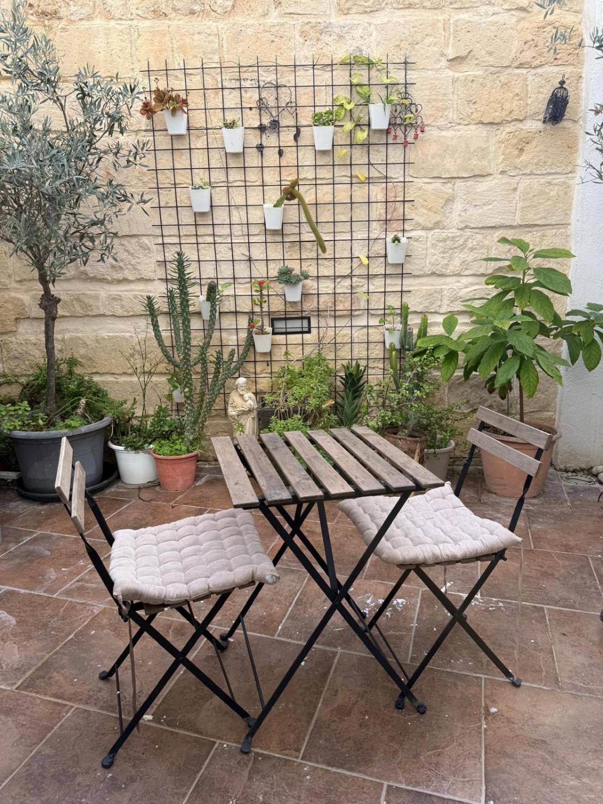 Single Room with Terrace photo 3