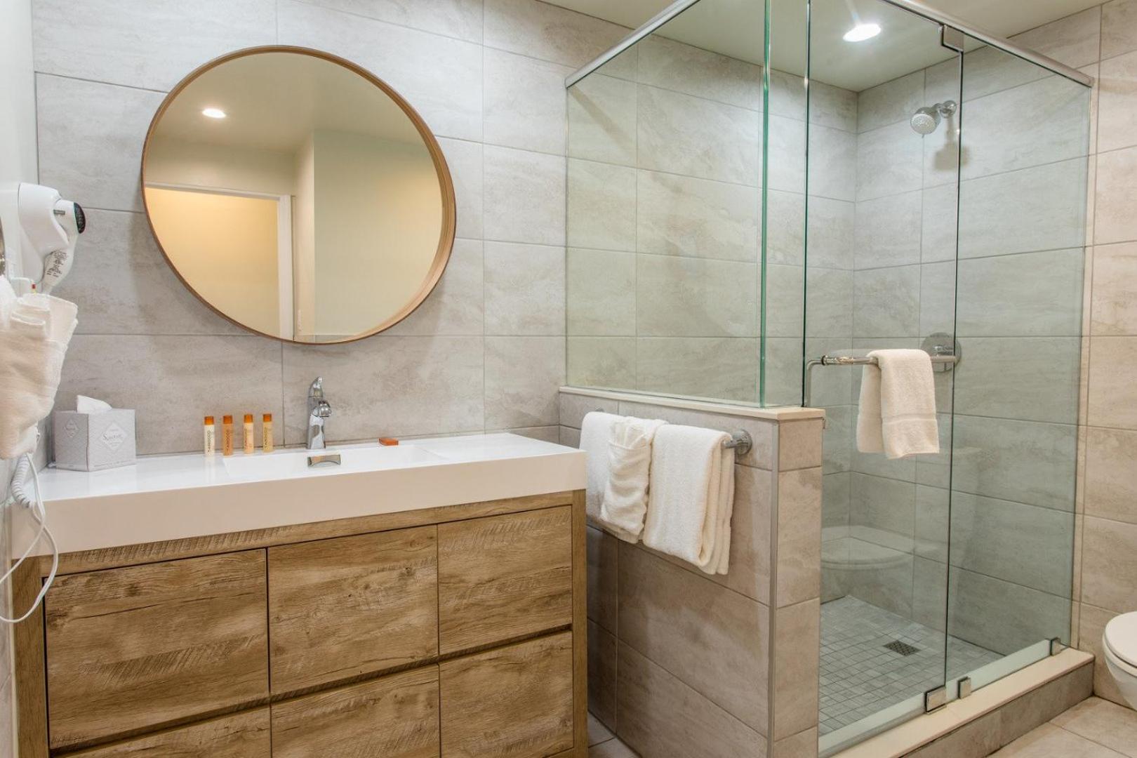 Suite - Photo 1