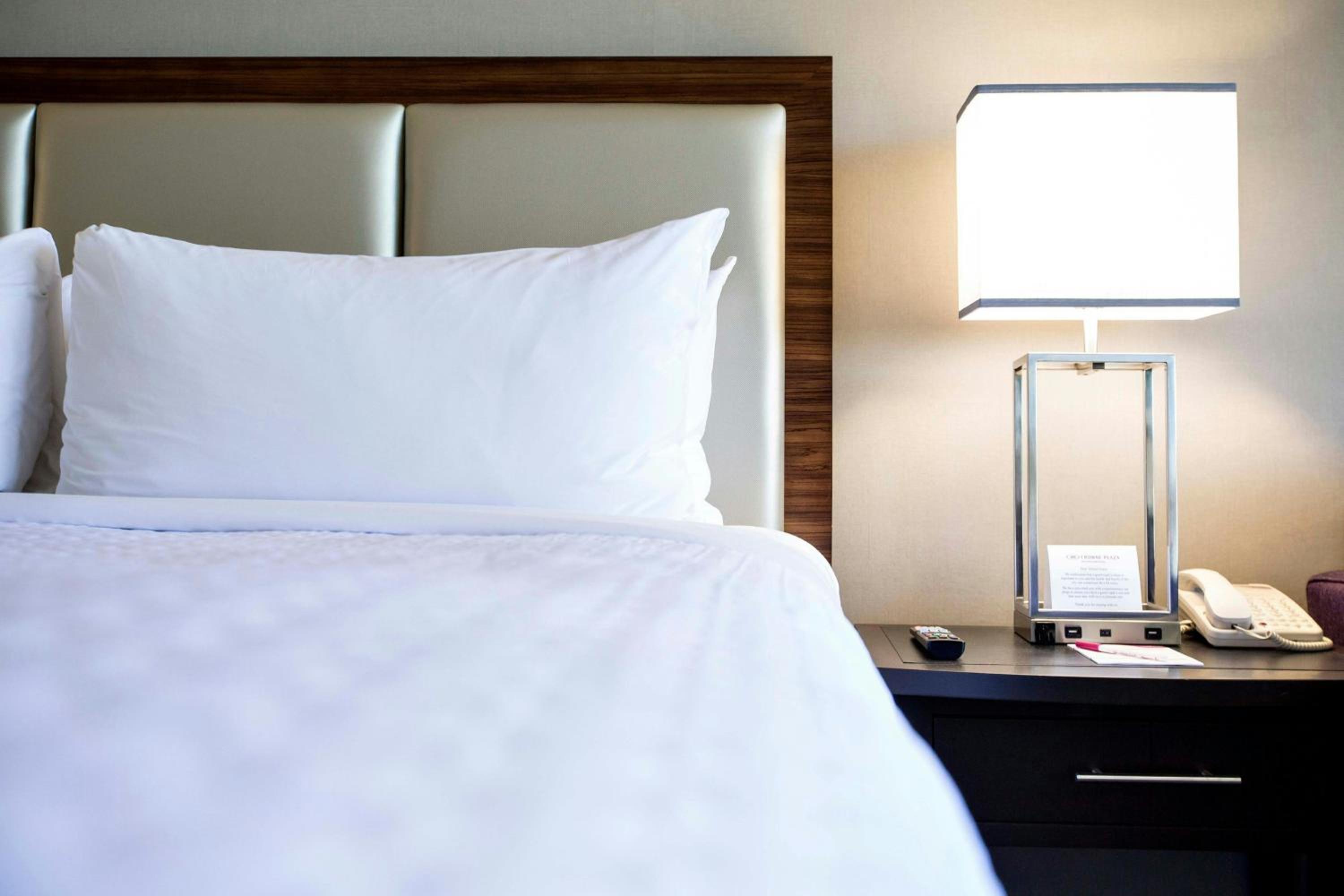 Studio Suite with Queen Bed and Sofa Bed - Photo 4
