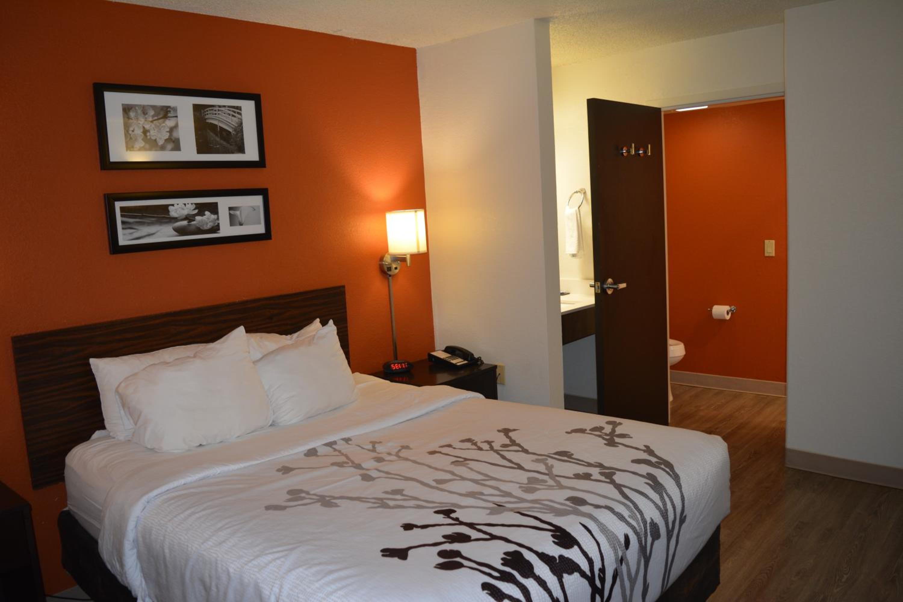 Queen Room - Non-Smoking - Photo 1