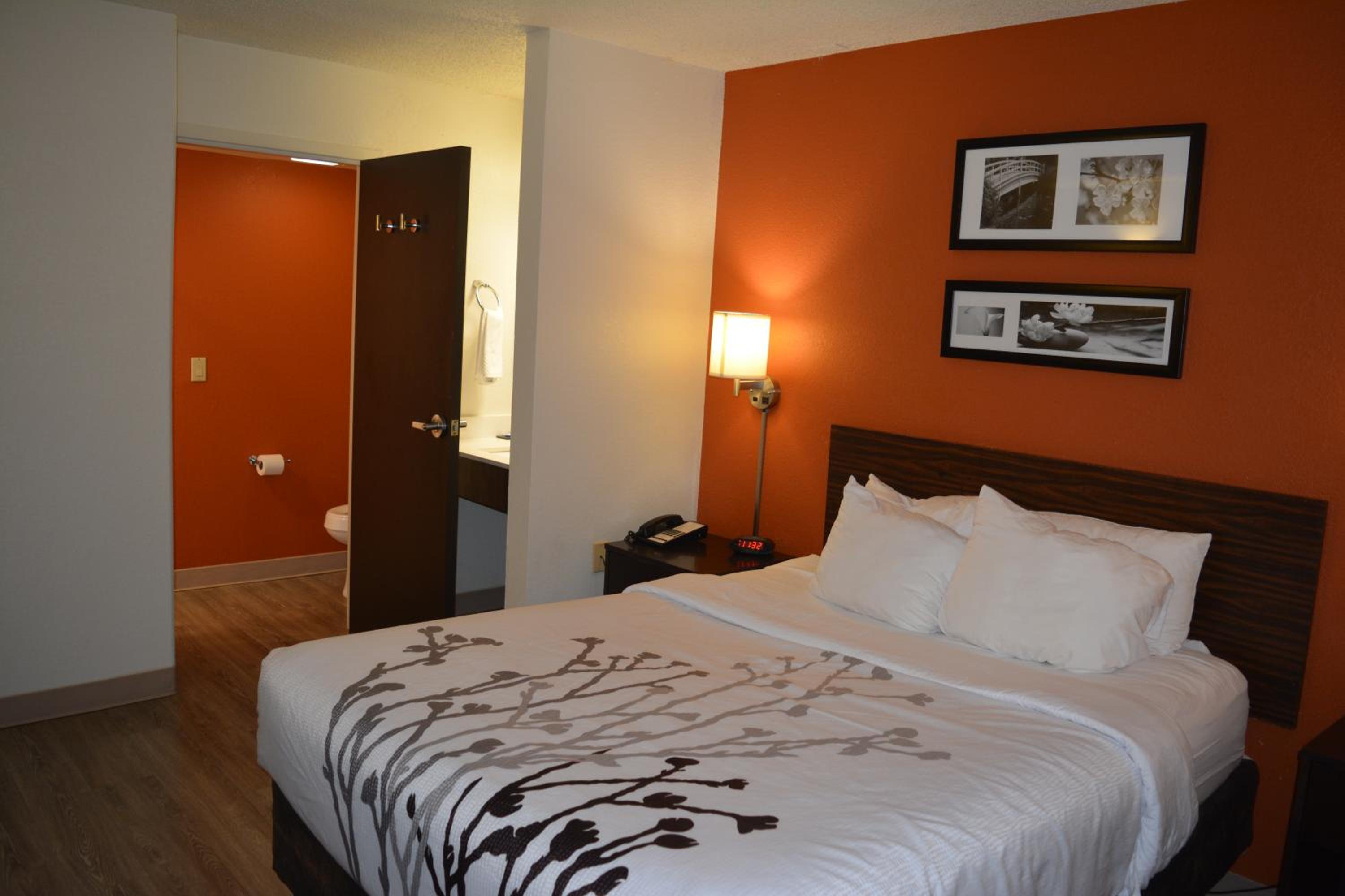 Queen Room - Non-Smoking - Photo 2