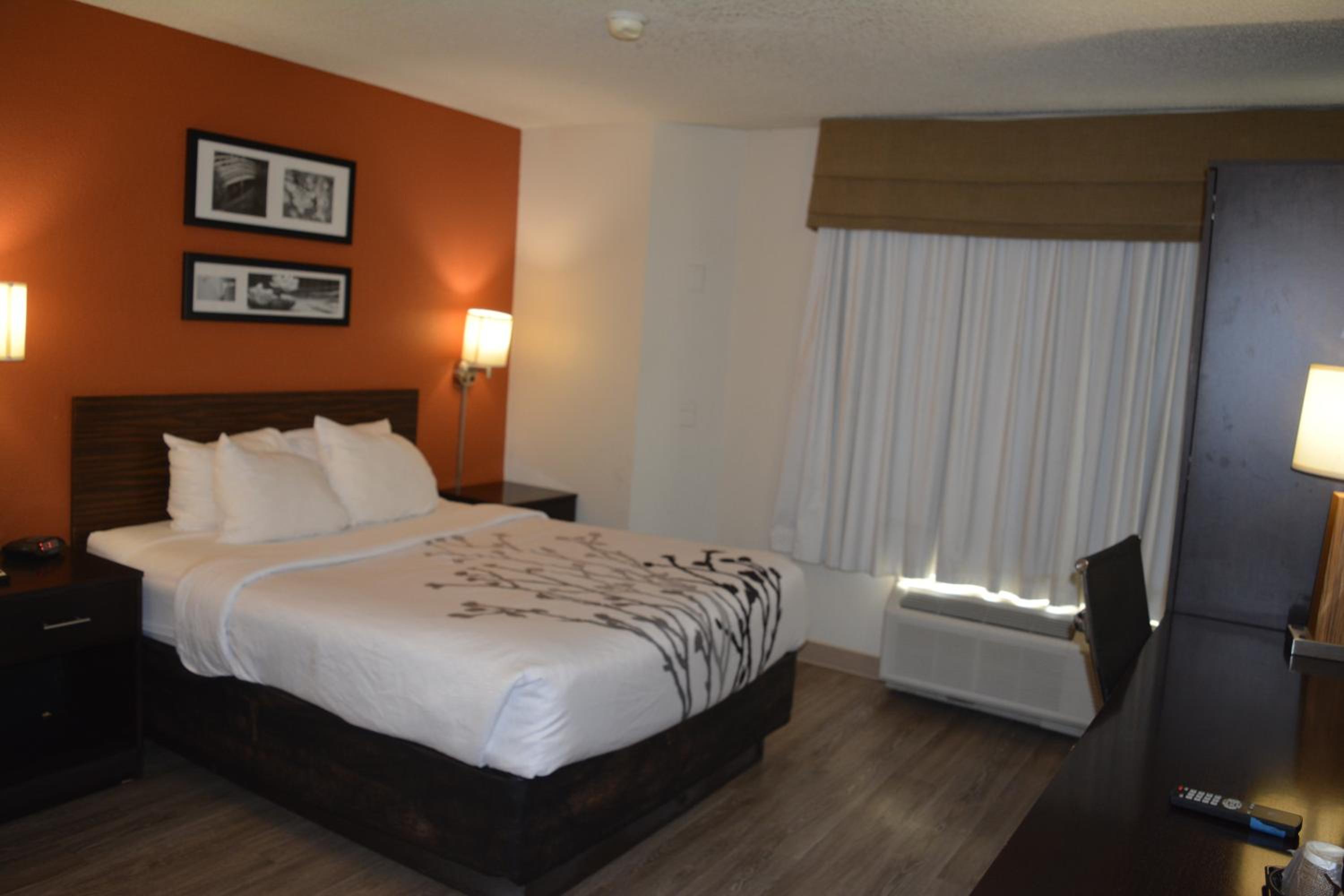 Queen Room - Non-Smoking - Photo 3