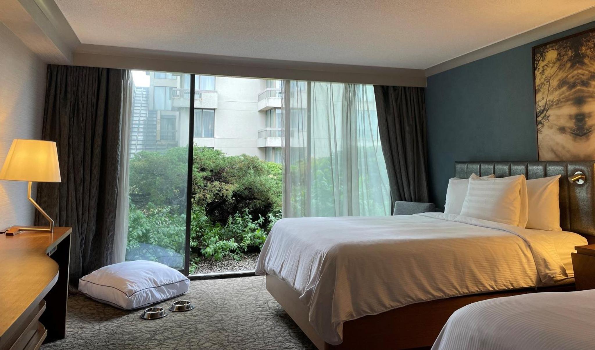 Standard Queen Room with Two Queen Beds - Pet Friendly photo 3