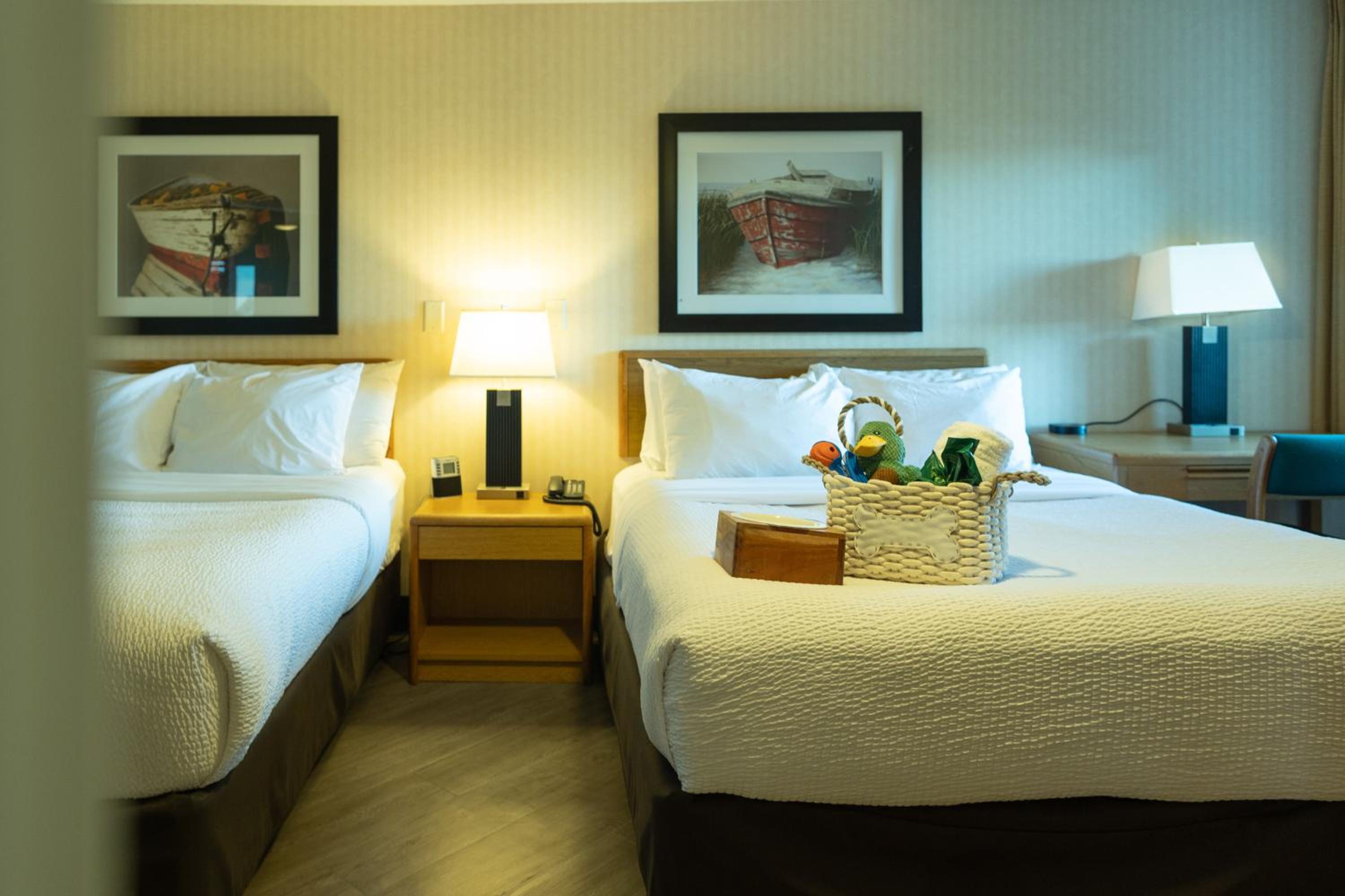 Large Double Room photo 1