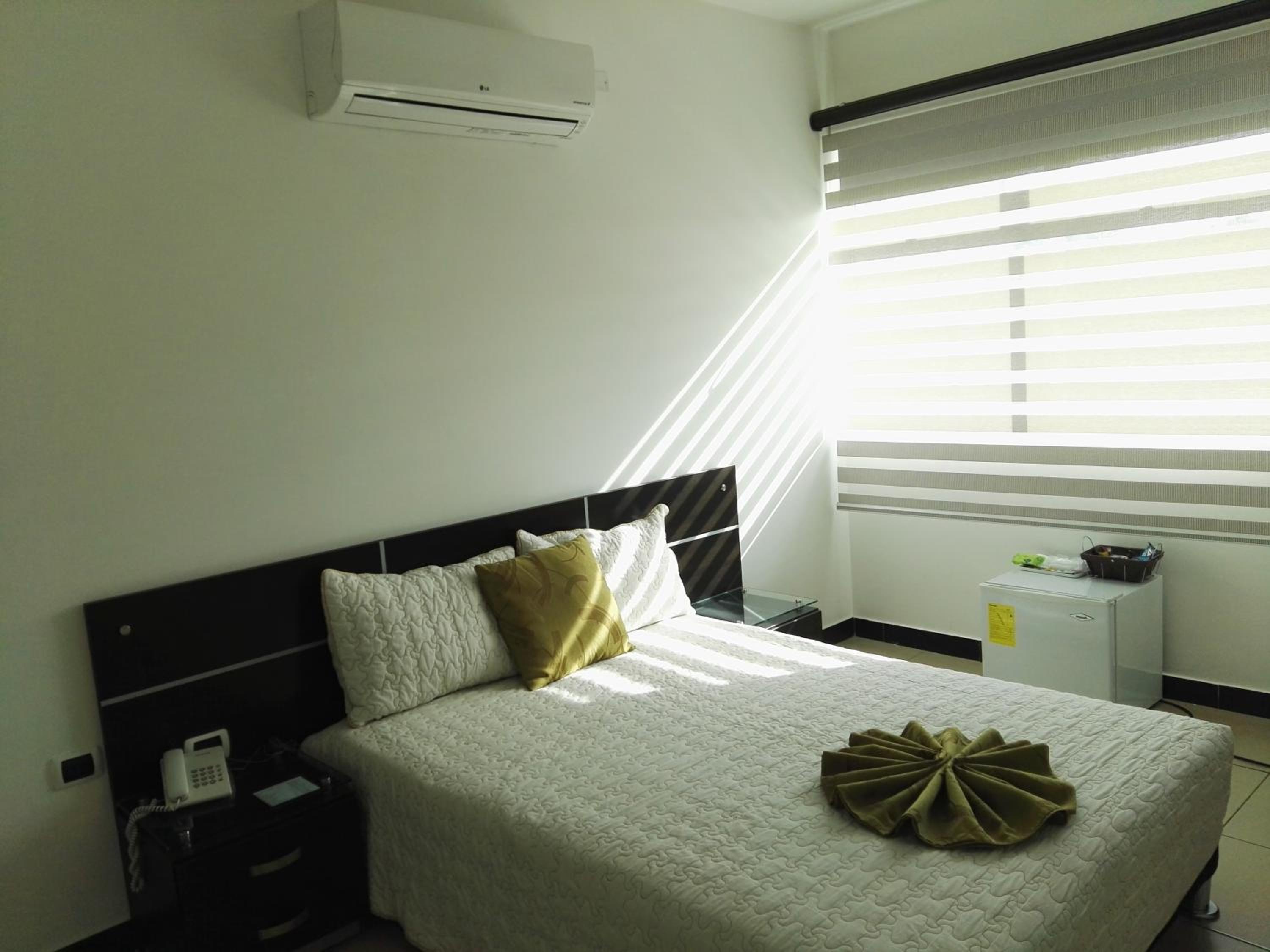 Large Single Room photo 2