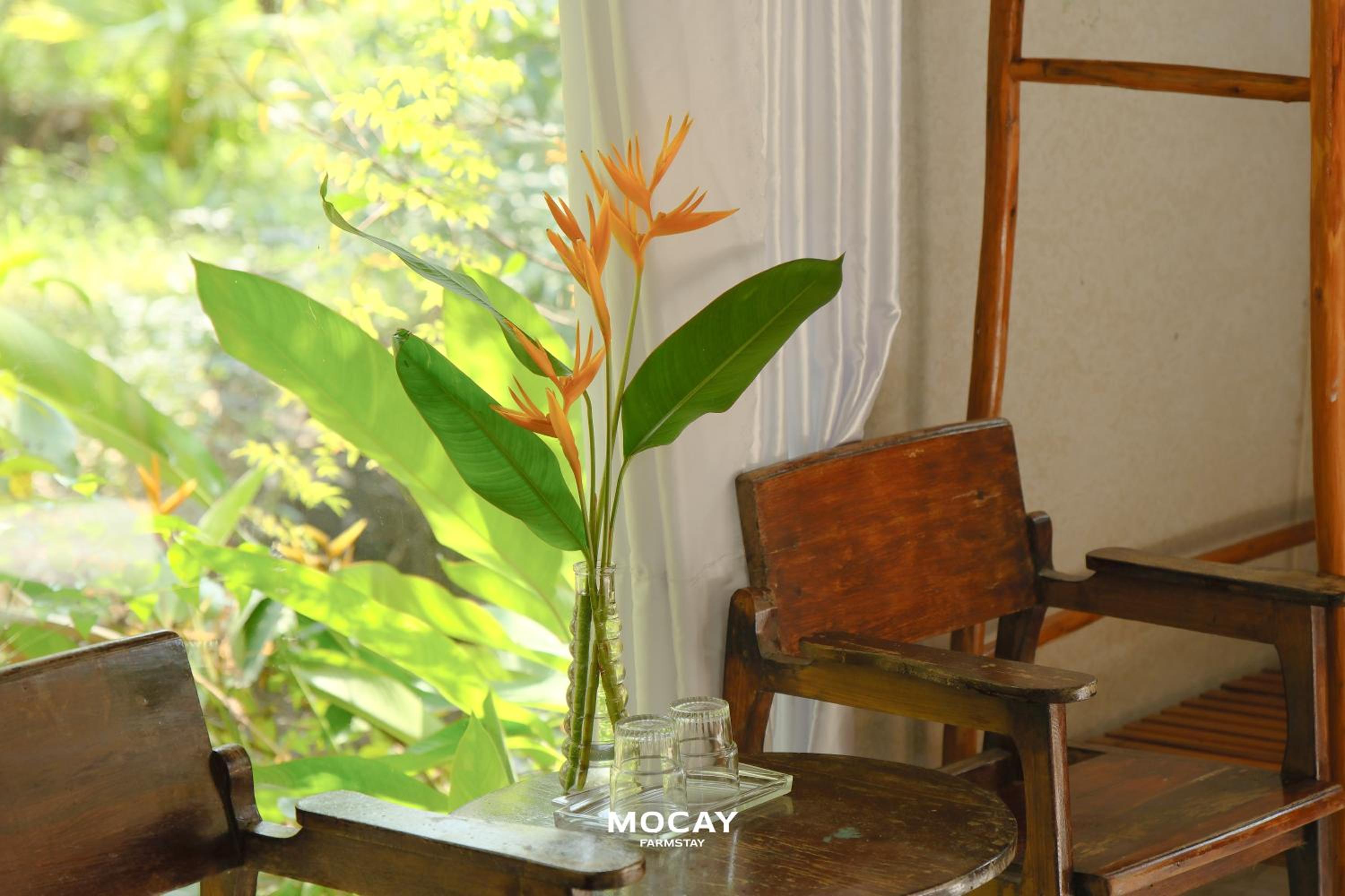 Double Room with Garden View photo 3