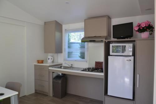 Mobile Home - Disability Access photo 2