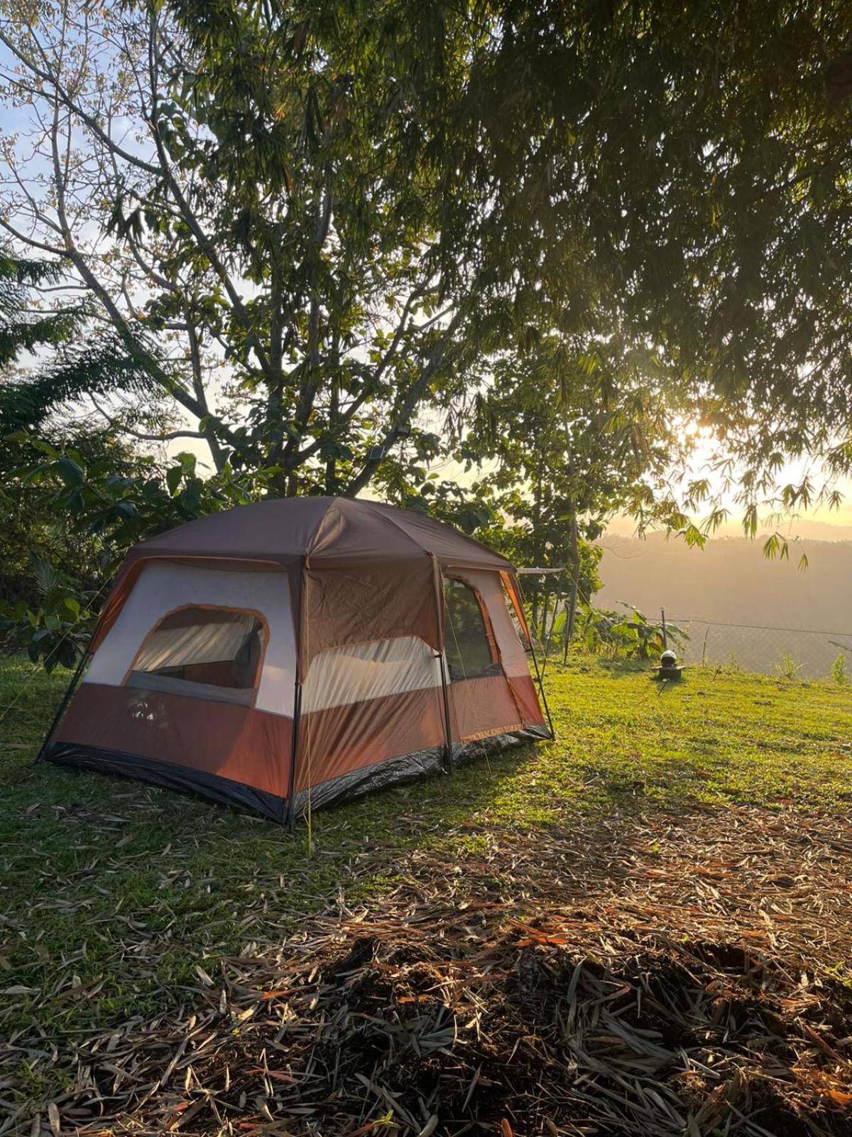 Tent photo 2