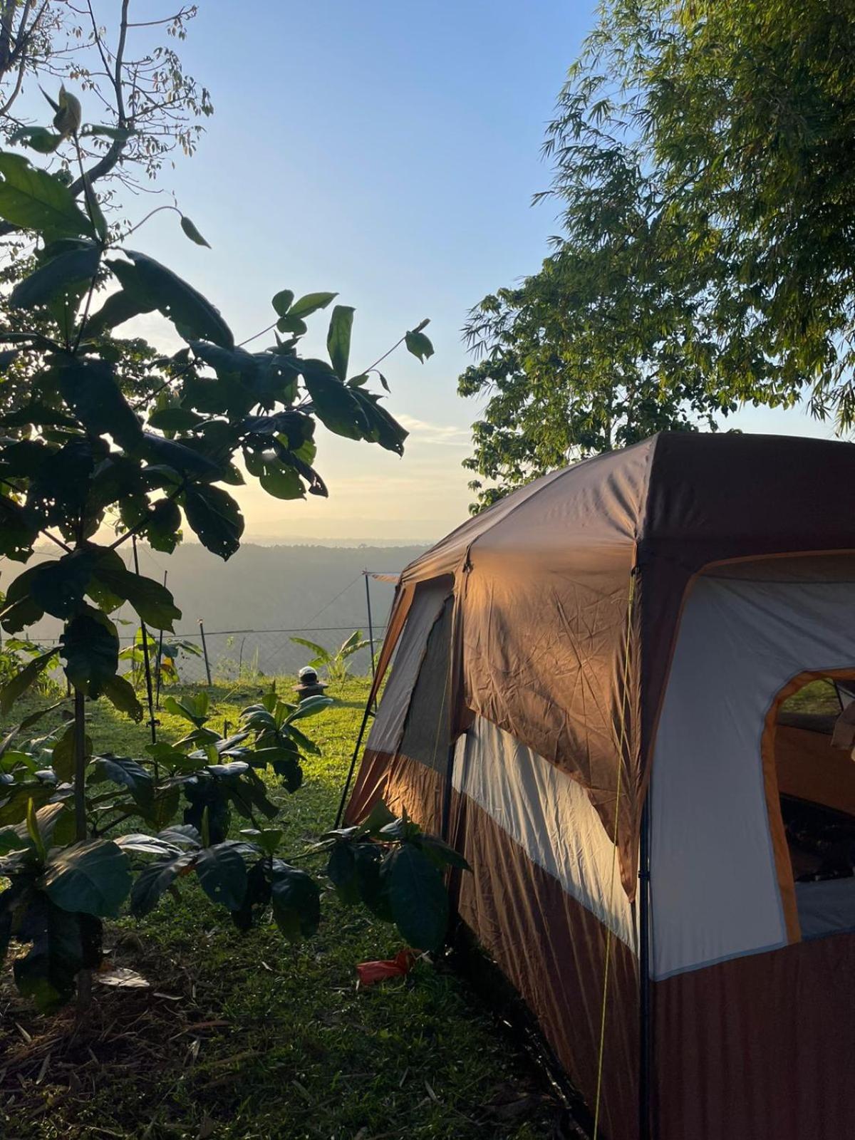 Tent photo 3