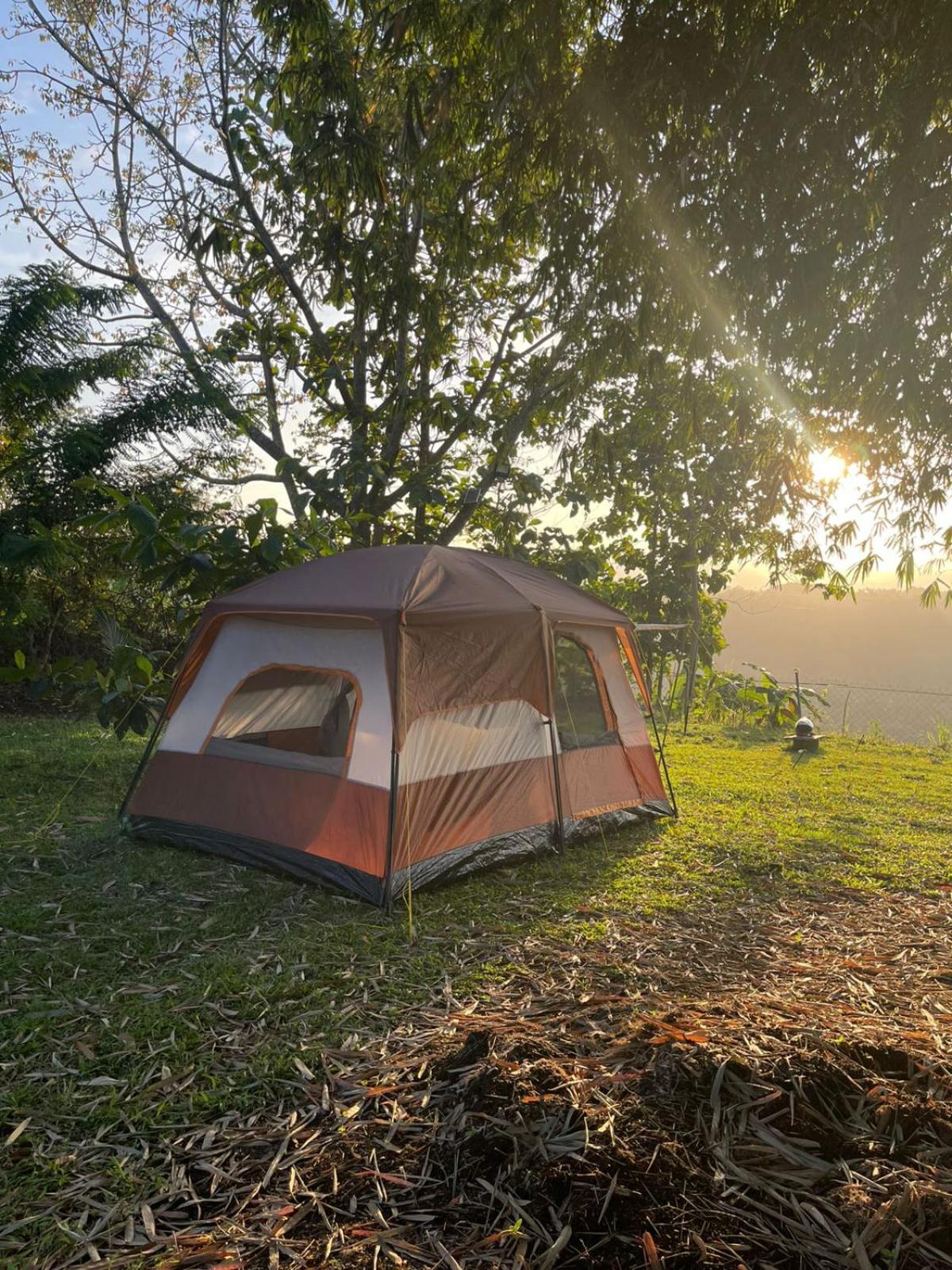 Tent photo 1