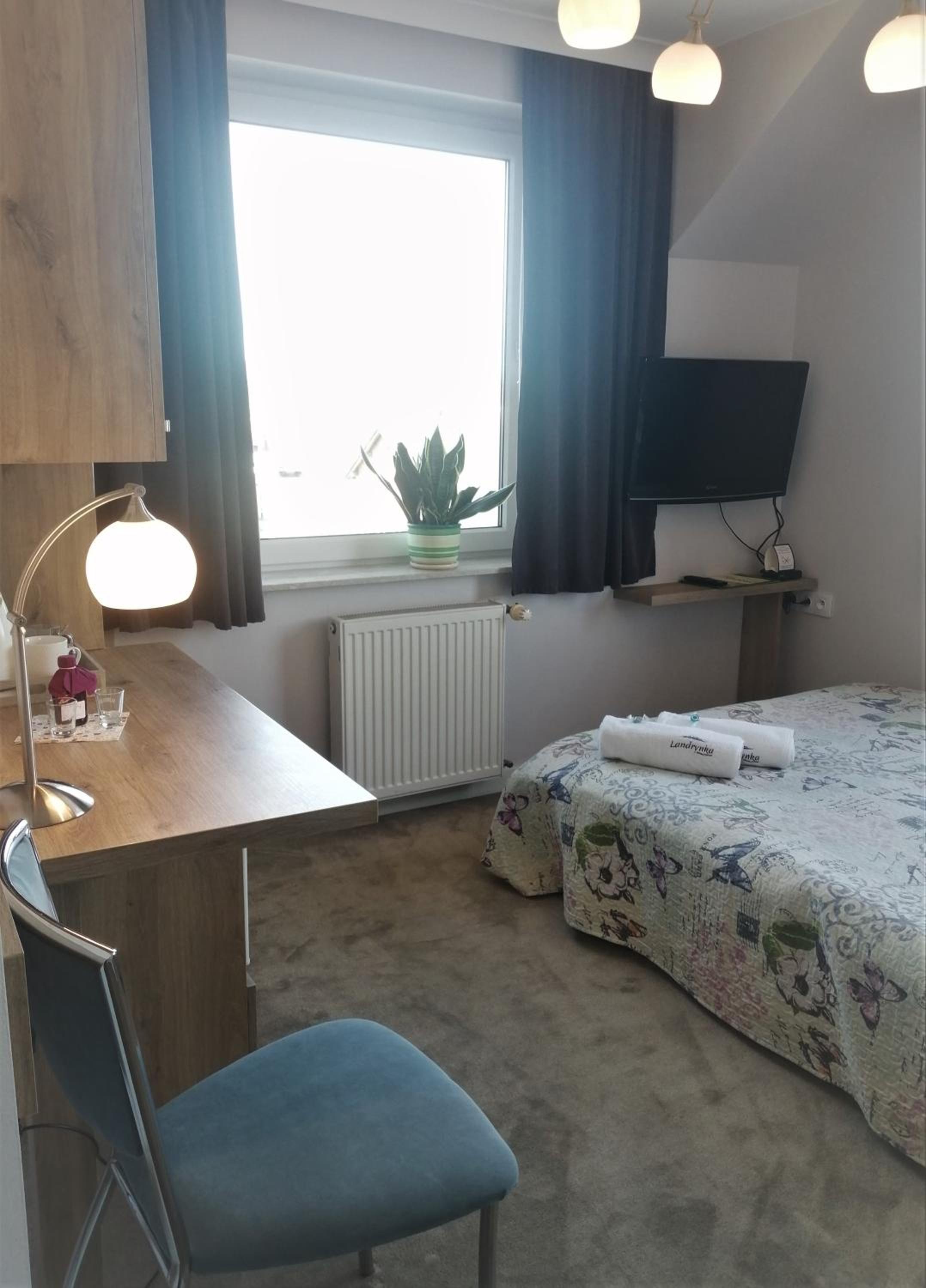 Deluxe Double Room photo 3