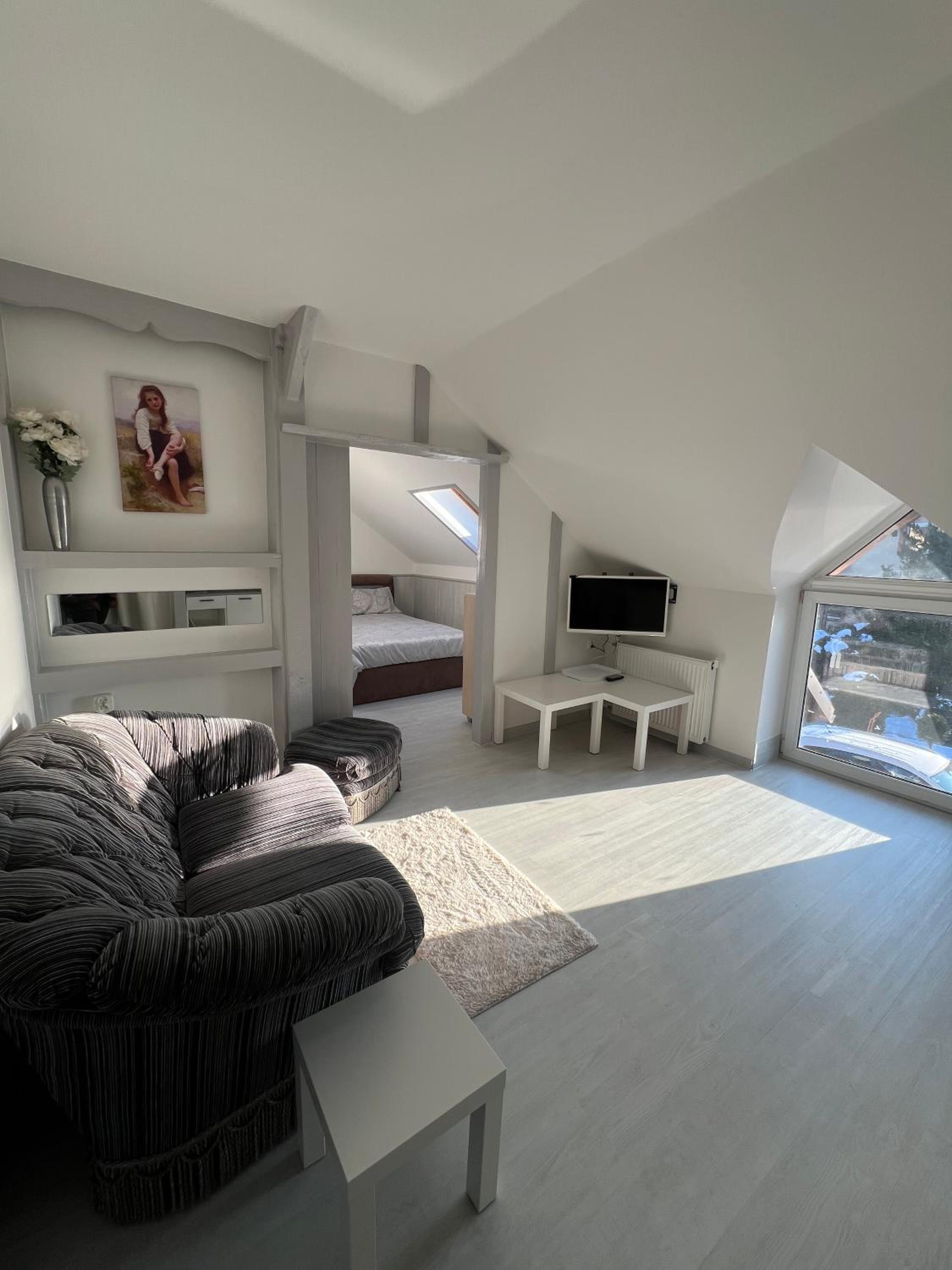 One-Bedroom Standard Apartment photo 2
