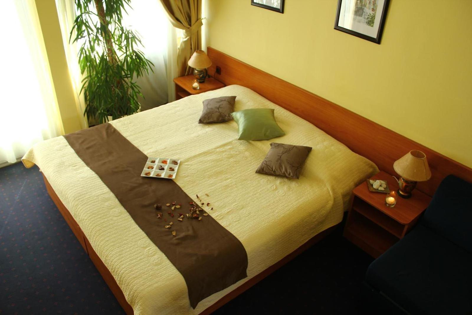 Special Offer - Wellness Package - Double or Twin Room with Balcony photo 1
