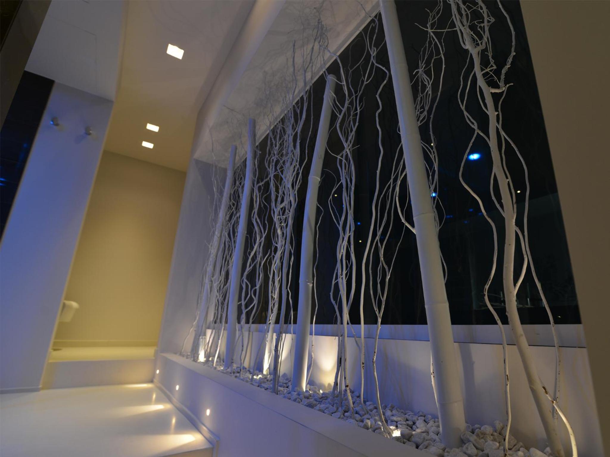 Suite with Spa Access photo 2
