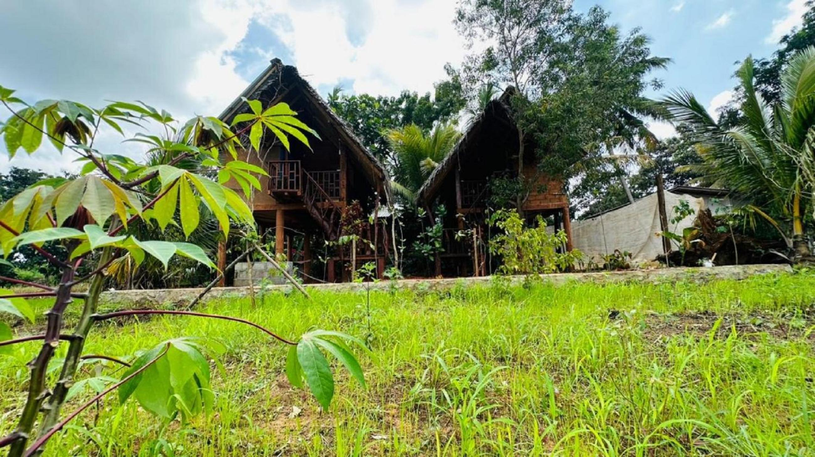 Deluxe Villa photo 2