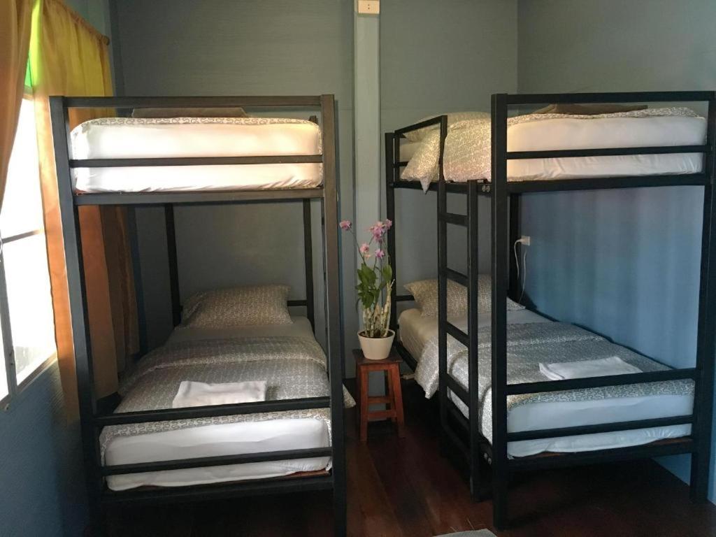 Male Dormitory Room photo 2