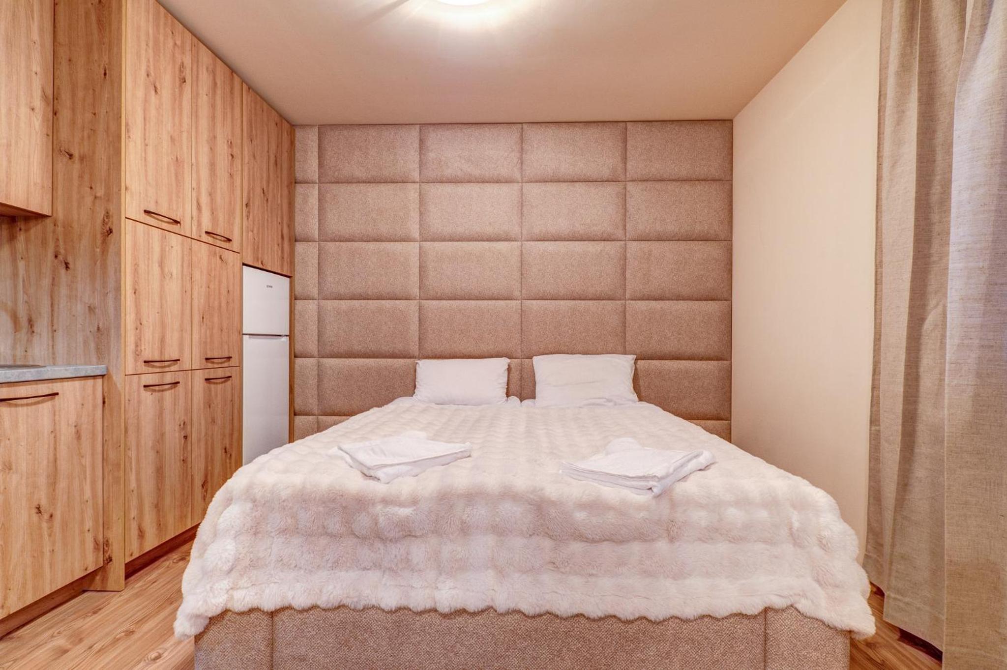 Deluxe One-Bedroom Apartment