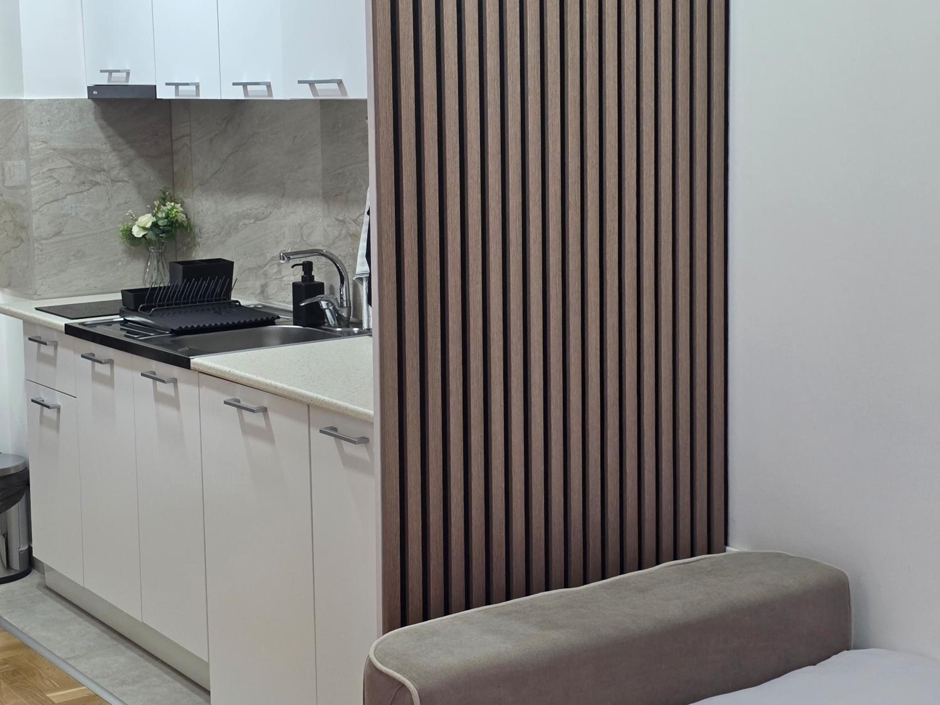 Studio with Terrace