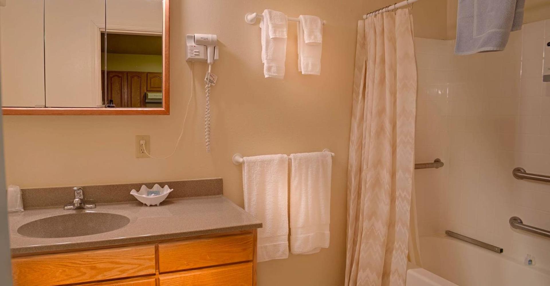 Deluxe King Suite
