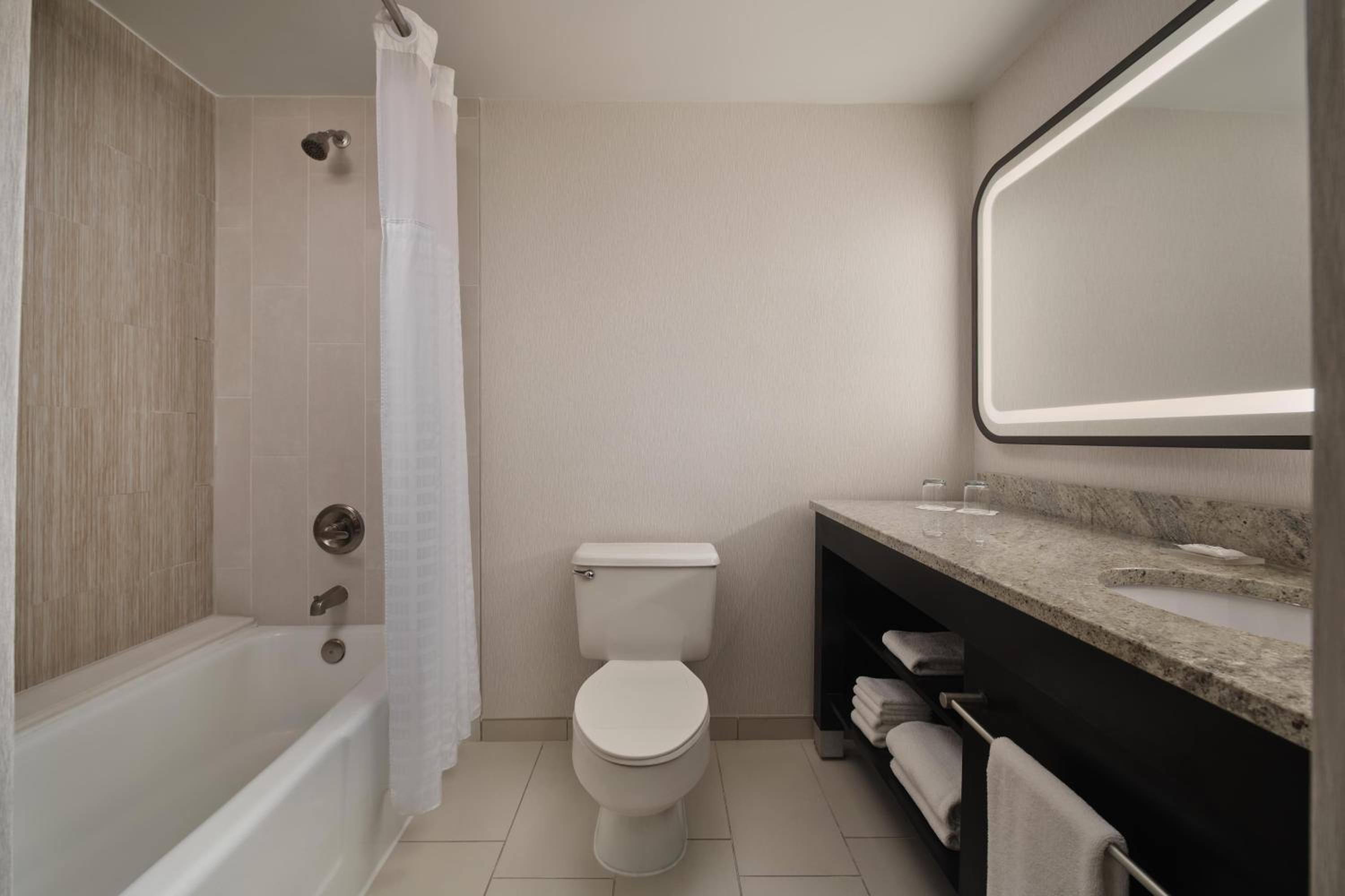 Deluxe King Suite - Top Floor - Photo 5