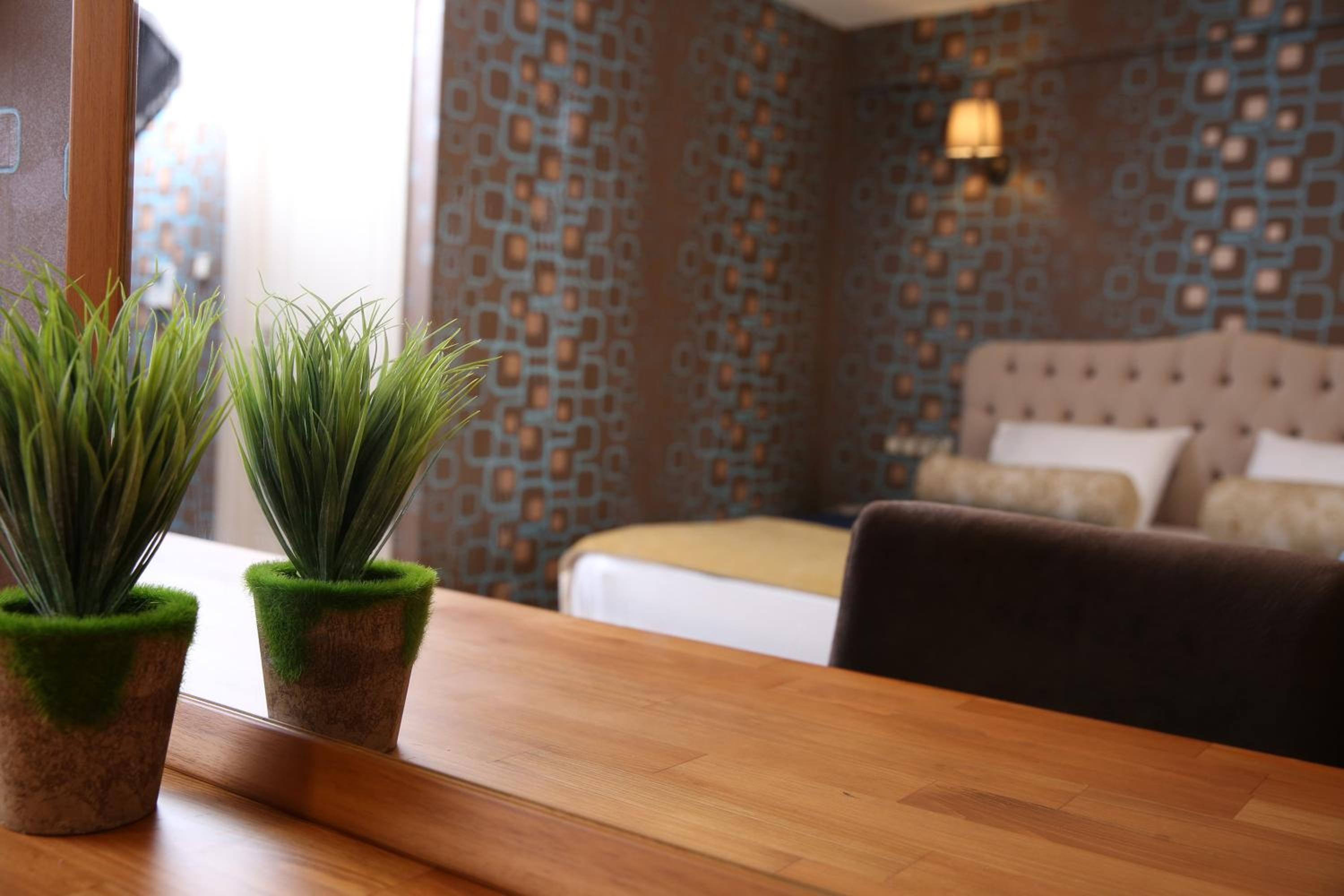 Double Room photo 3