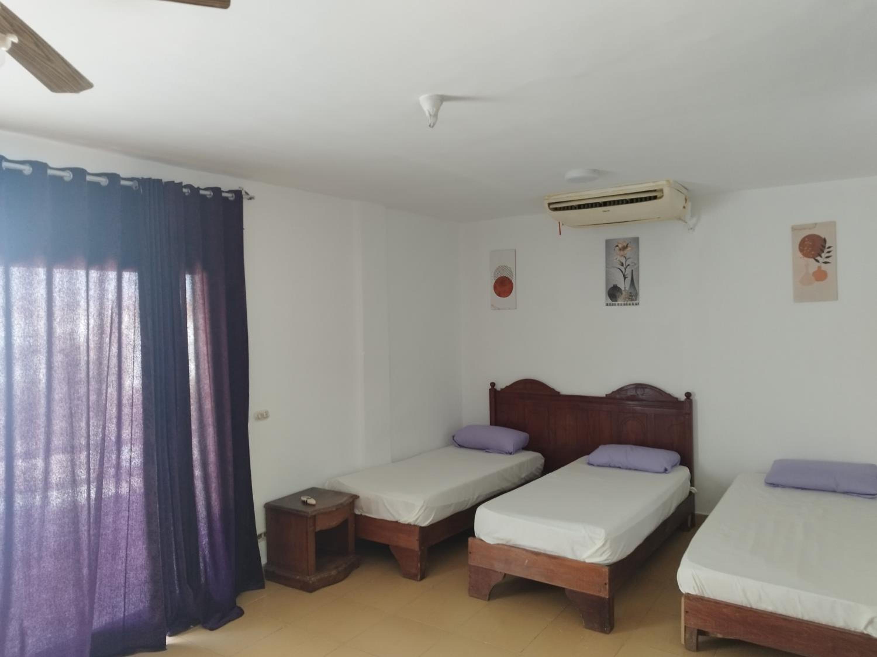 Single Bed in 4-Bed Dormitory Room