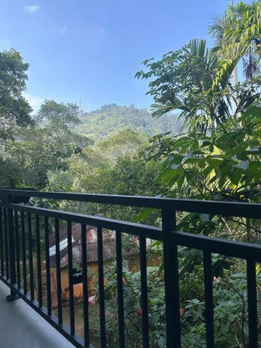 Deluxe Double Room with Balcony photo 2