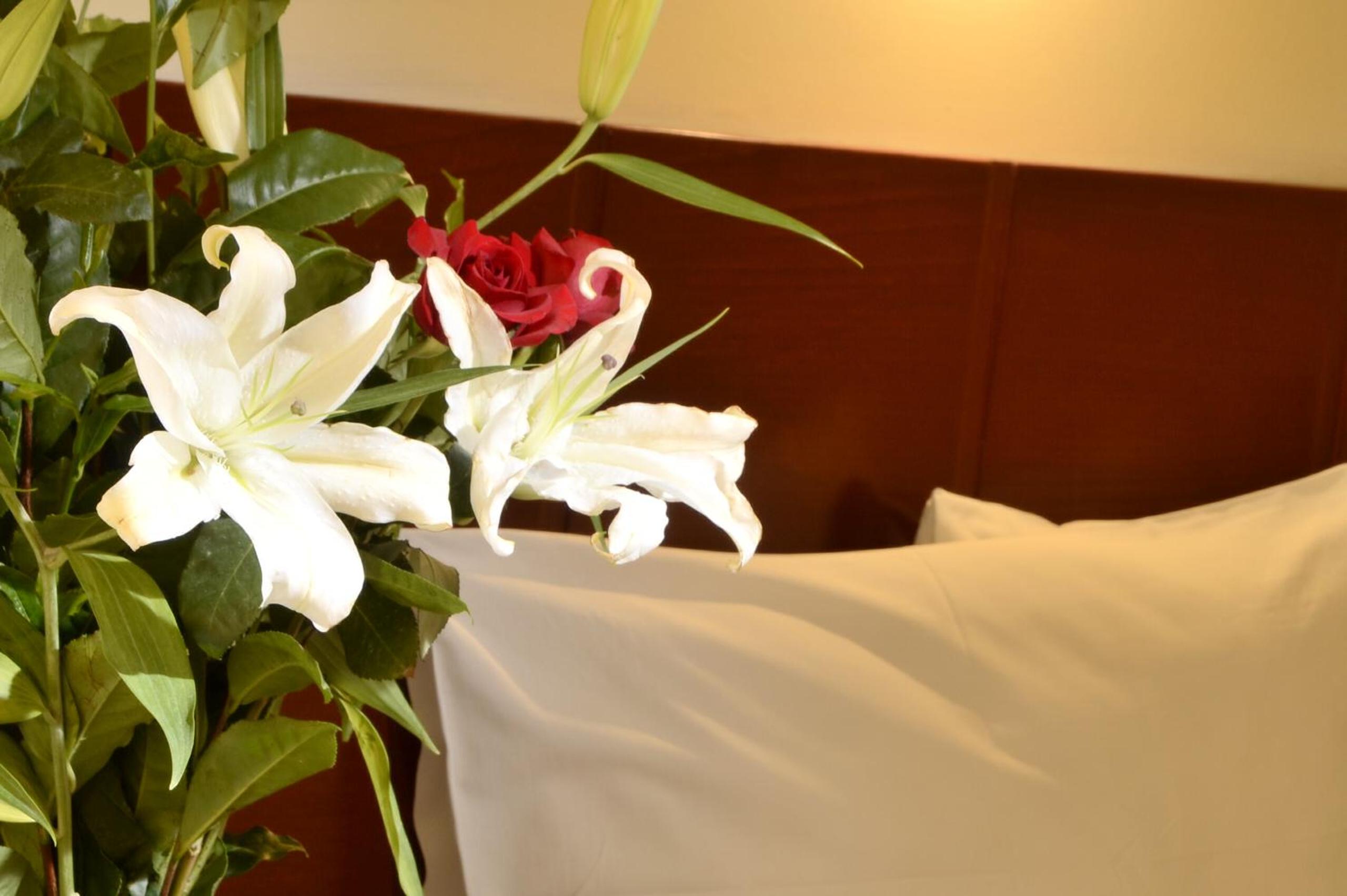 Standard Double Room - Photo 8