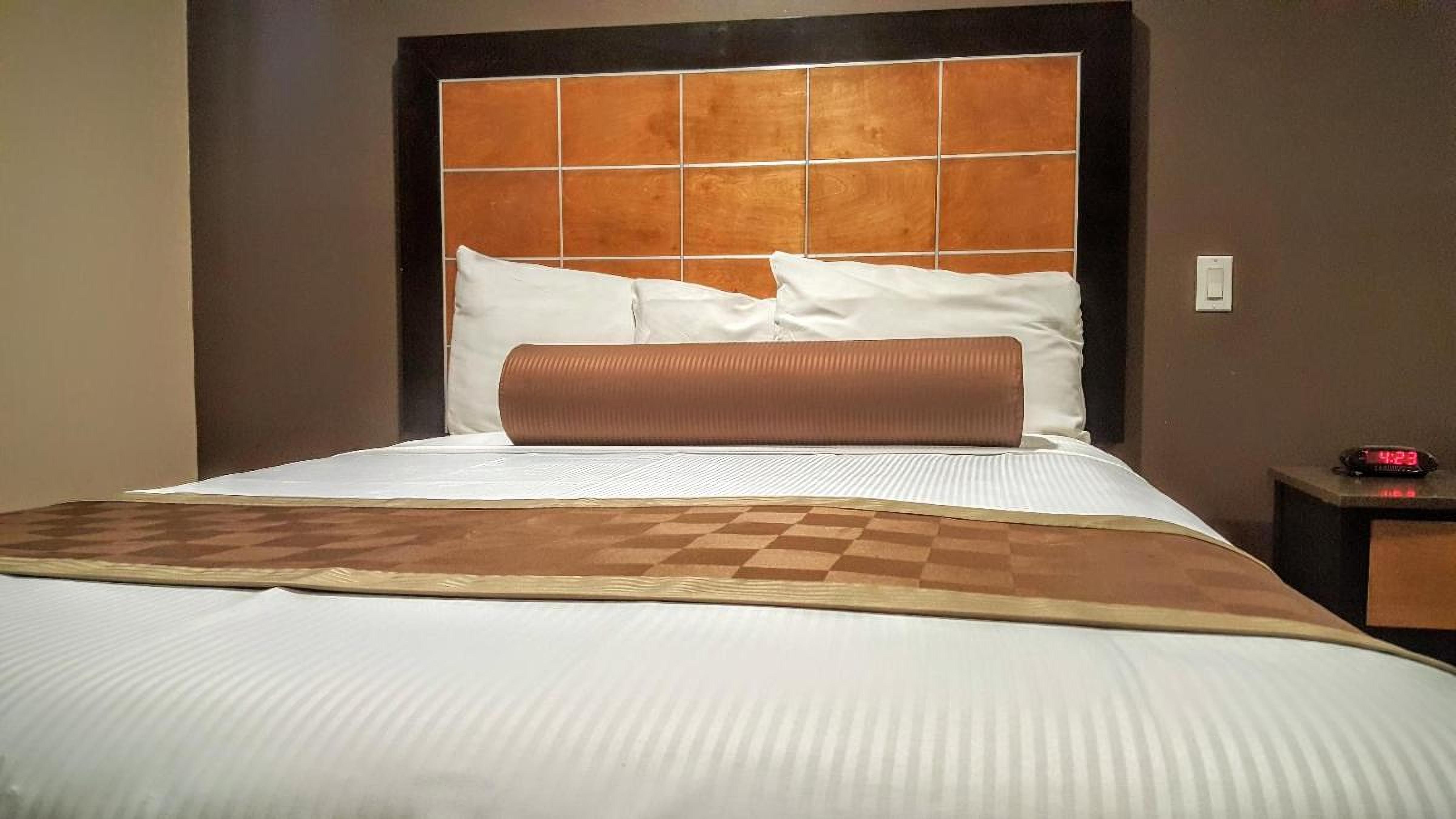 Budget Single Room photo 1
