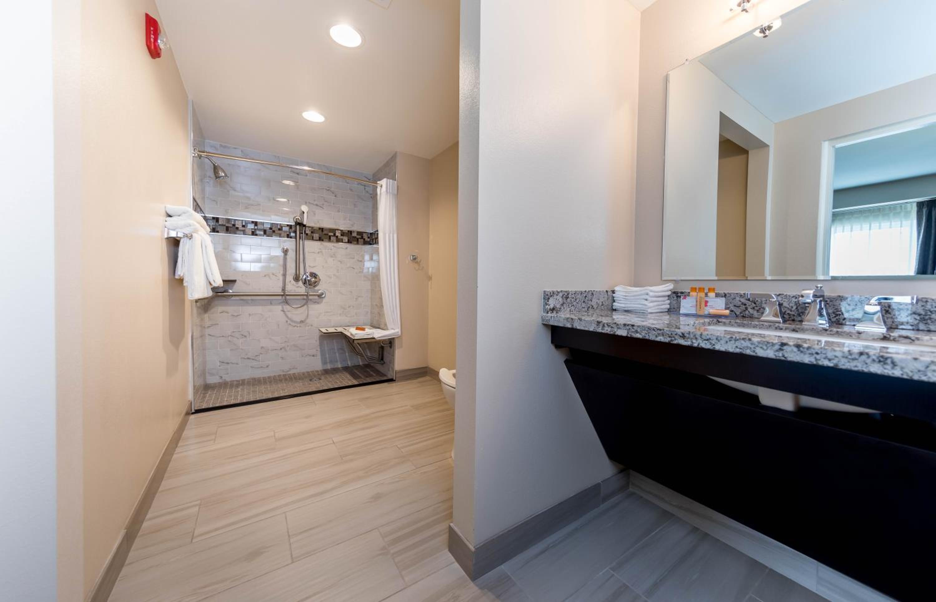 Queen Suite - Disability Access - Photo 5