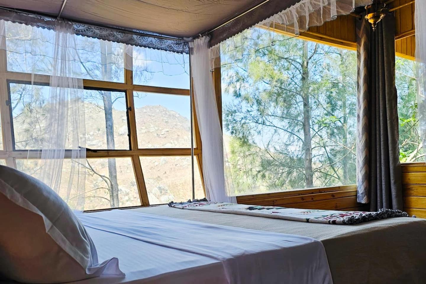Suite with Mountain View