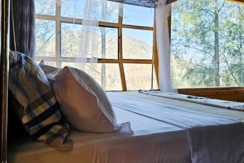 Suite with Mountain View