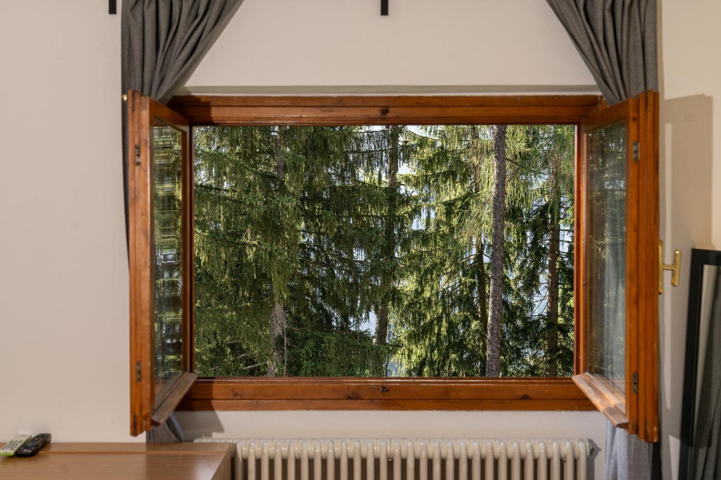 Superior Family Room
