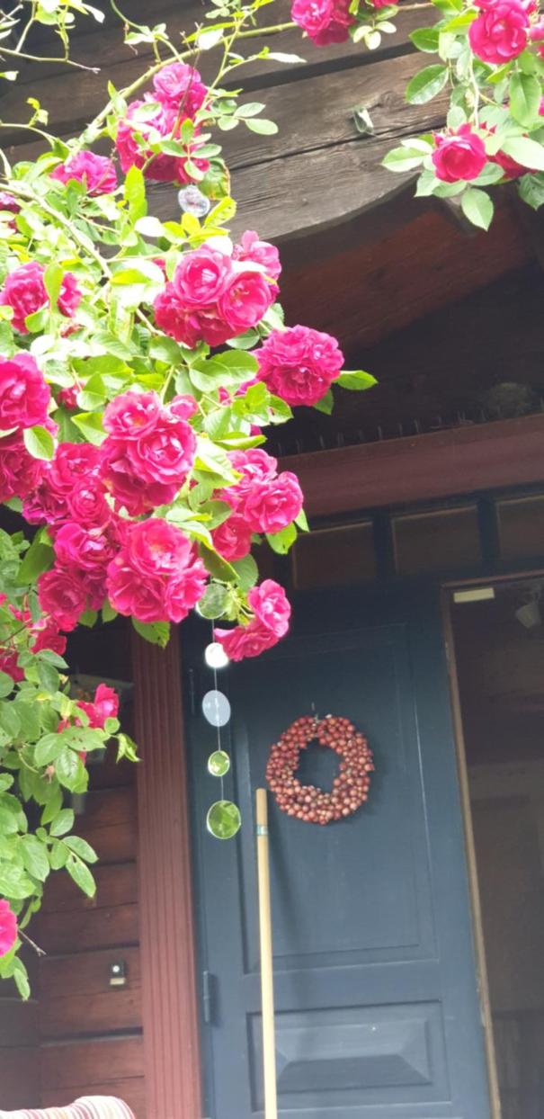 Villa photo 1