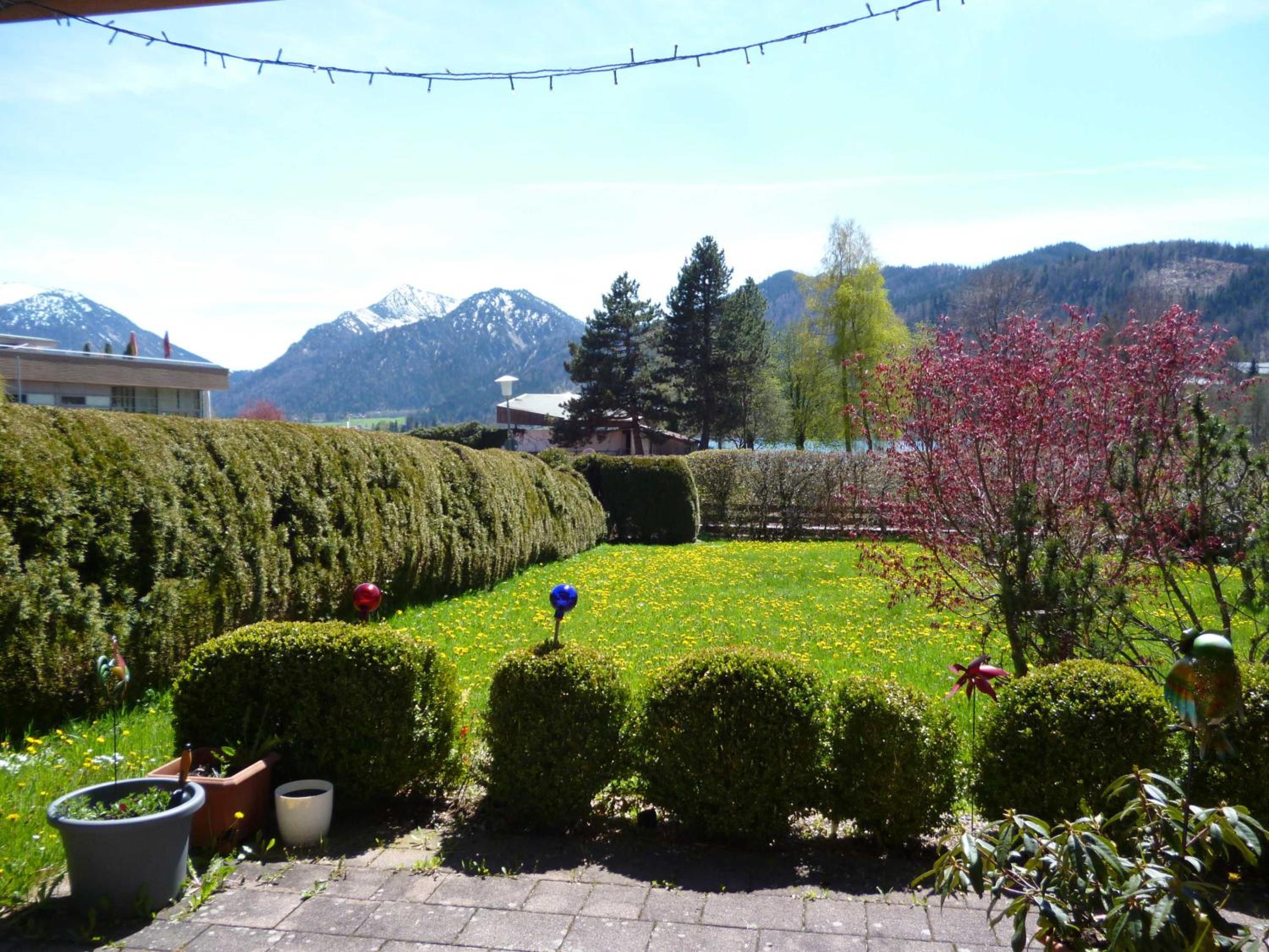 One-Bedroom Apartment with Terrace photo 2