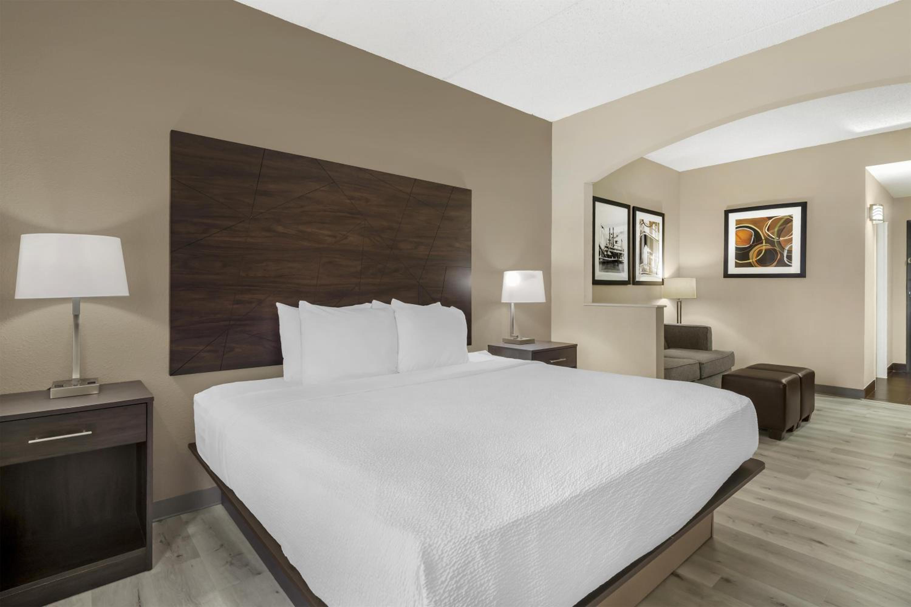 King Room - Non-Smoking - Photo 3