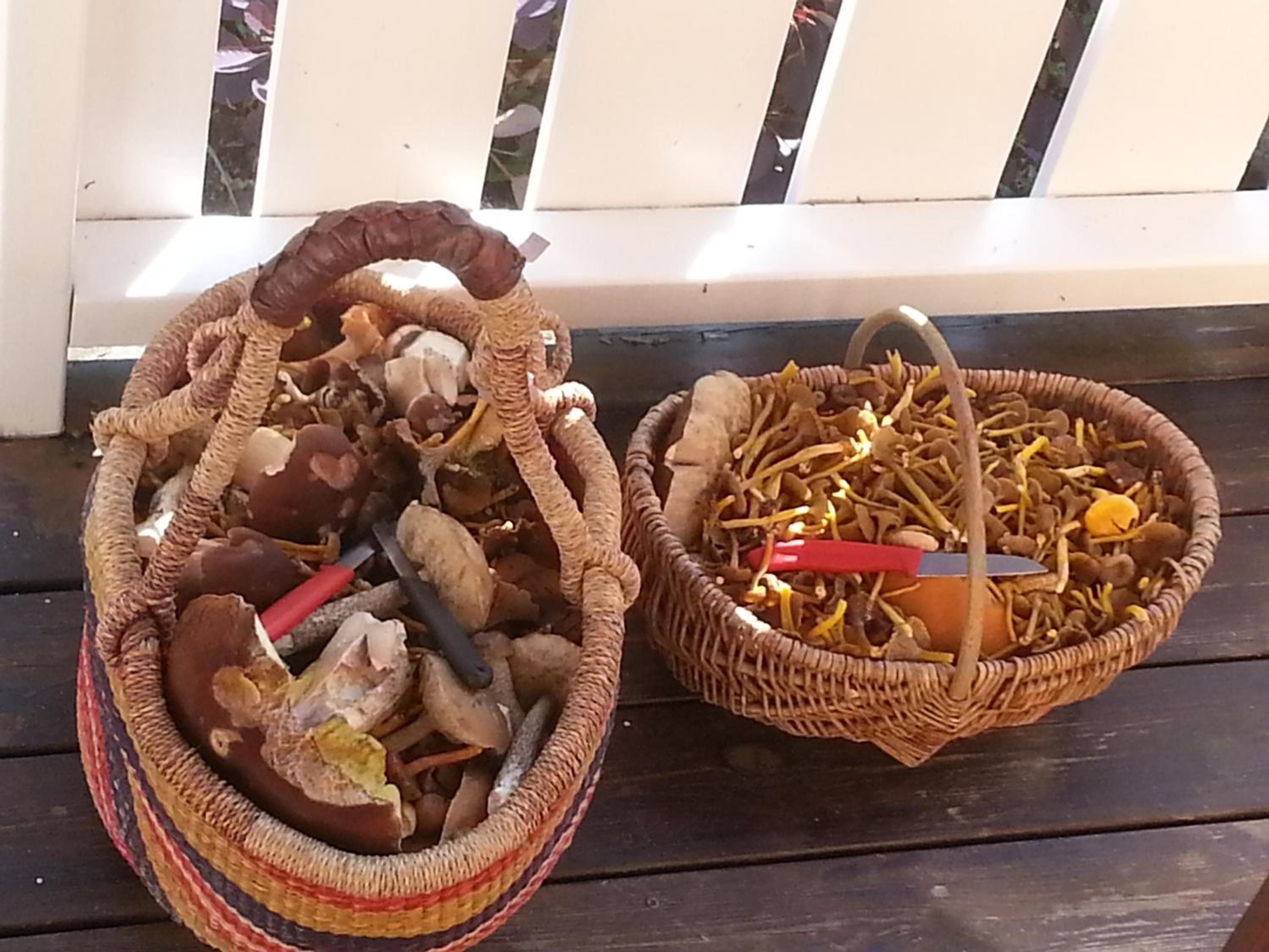 Loft - Photo 2